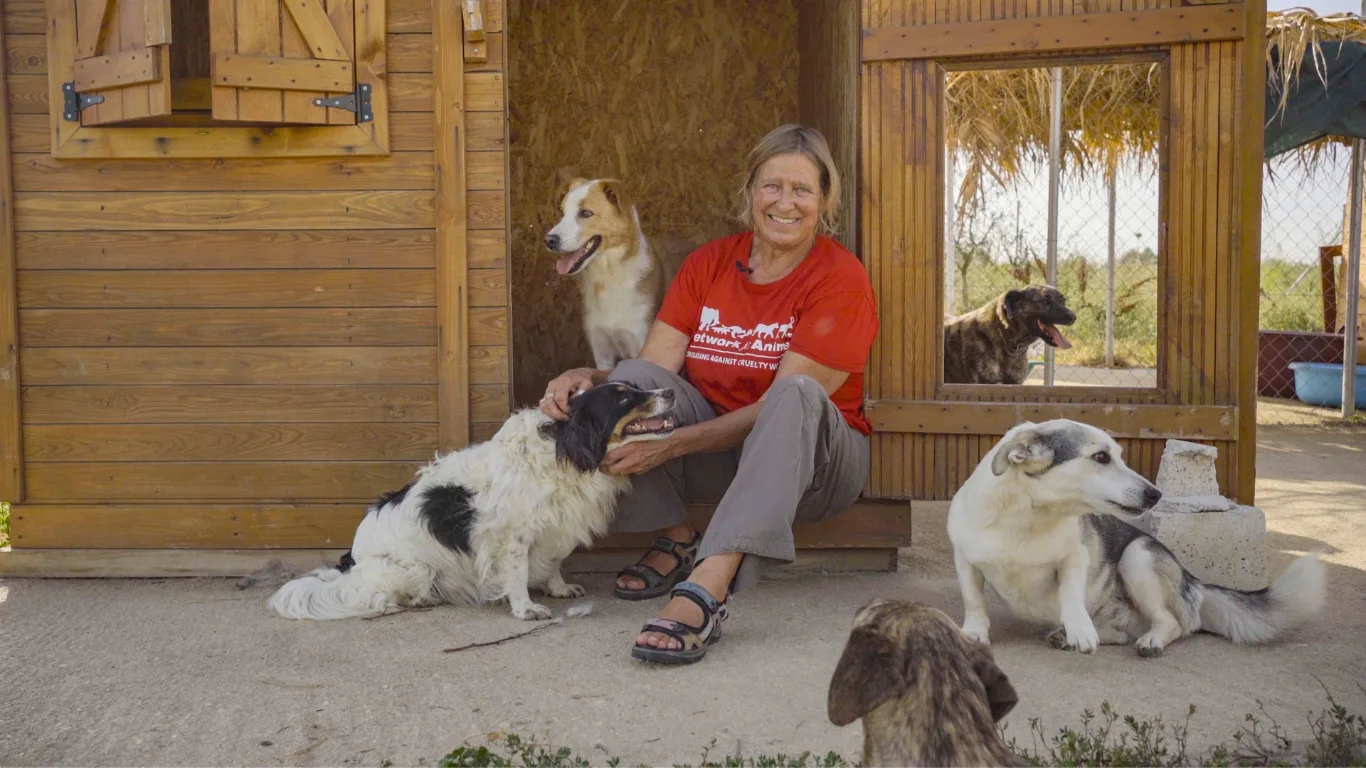 Network for Animals UK