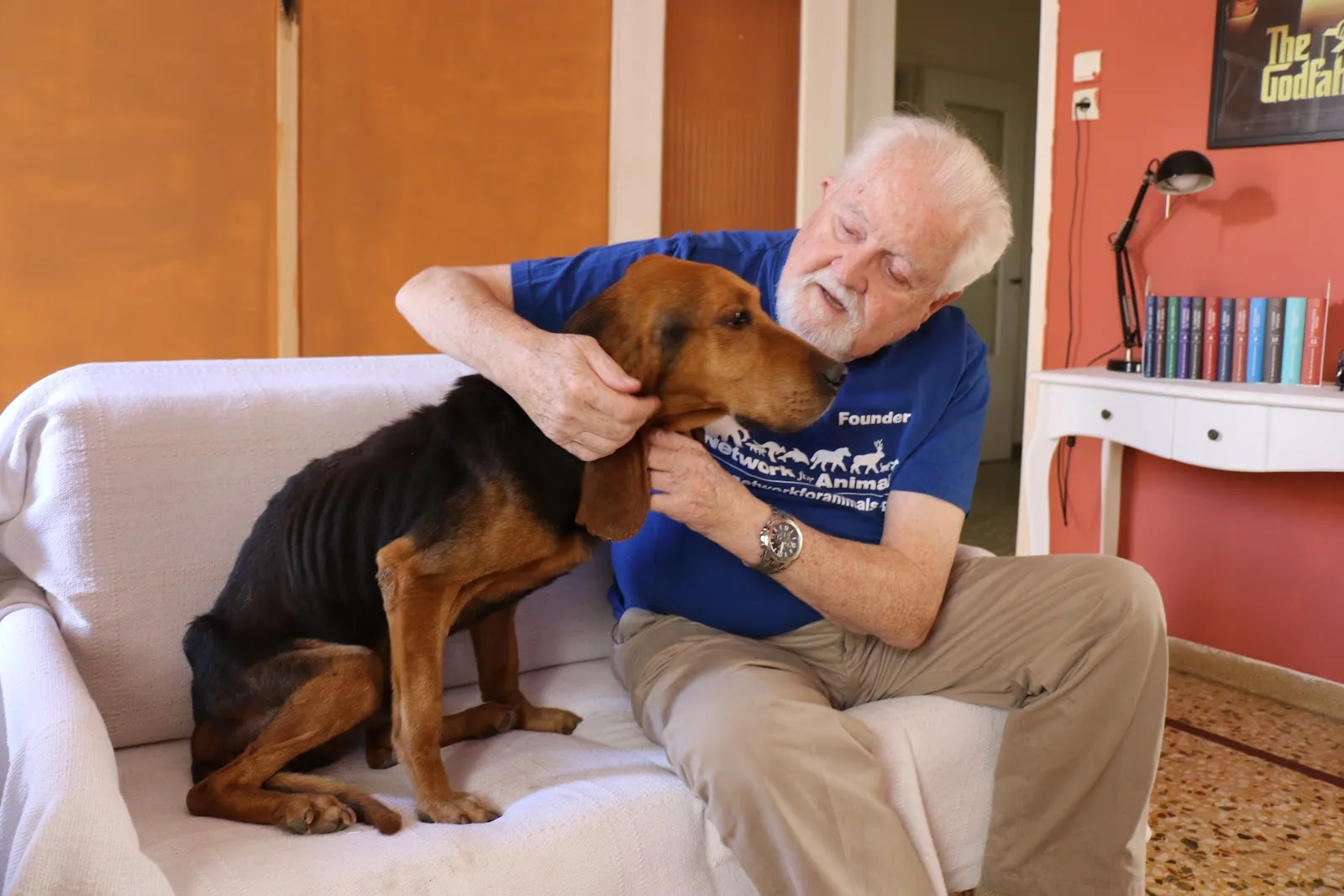 Network for Animals UK