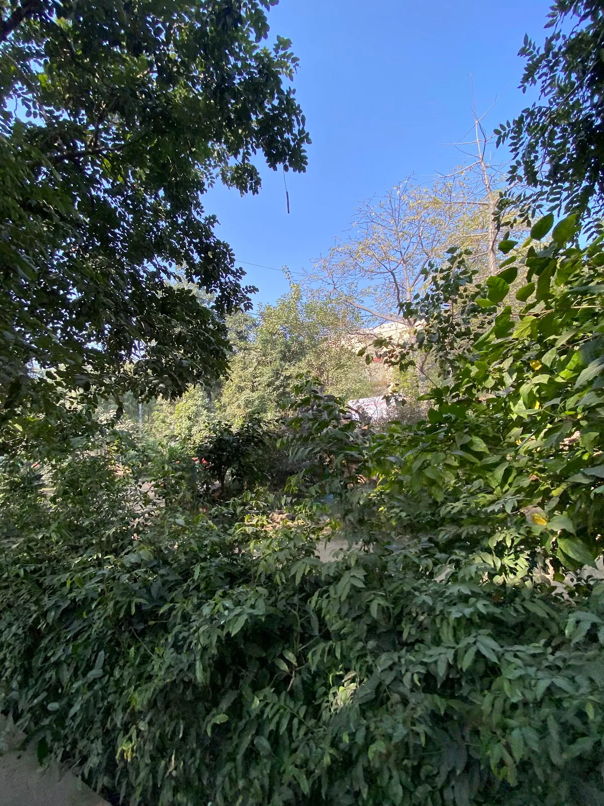 Karol Bagh Tricona Park