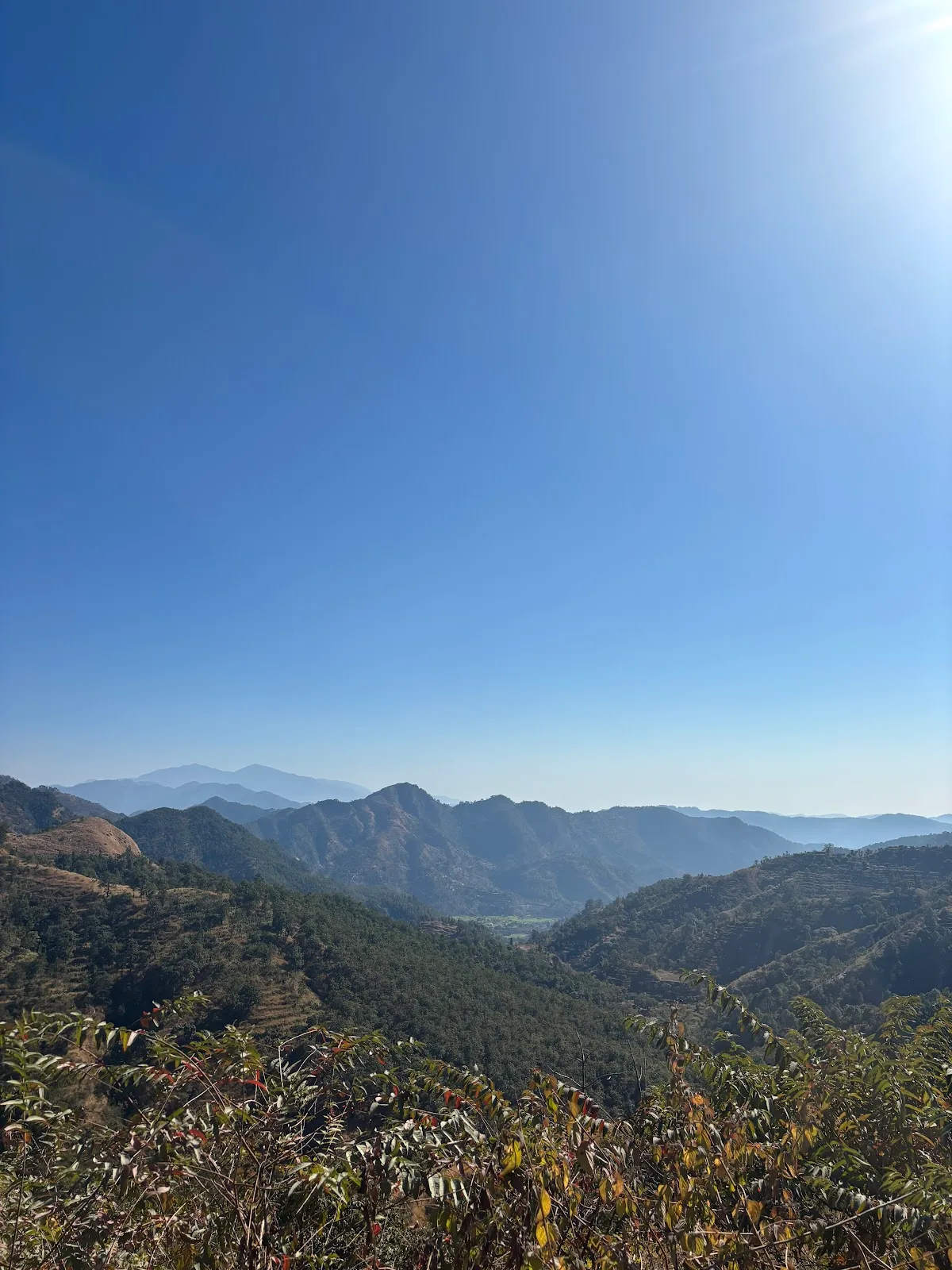 Canopy Wild: Immersive Wildlife Tours