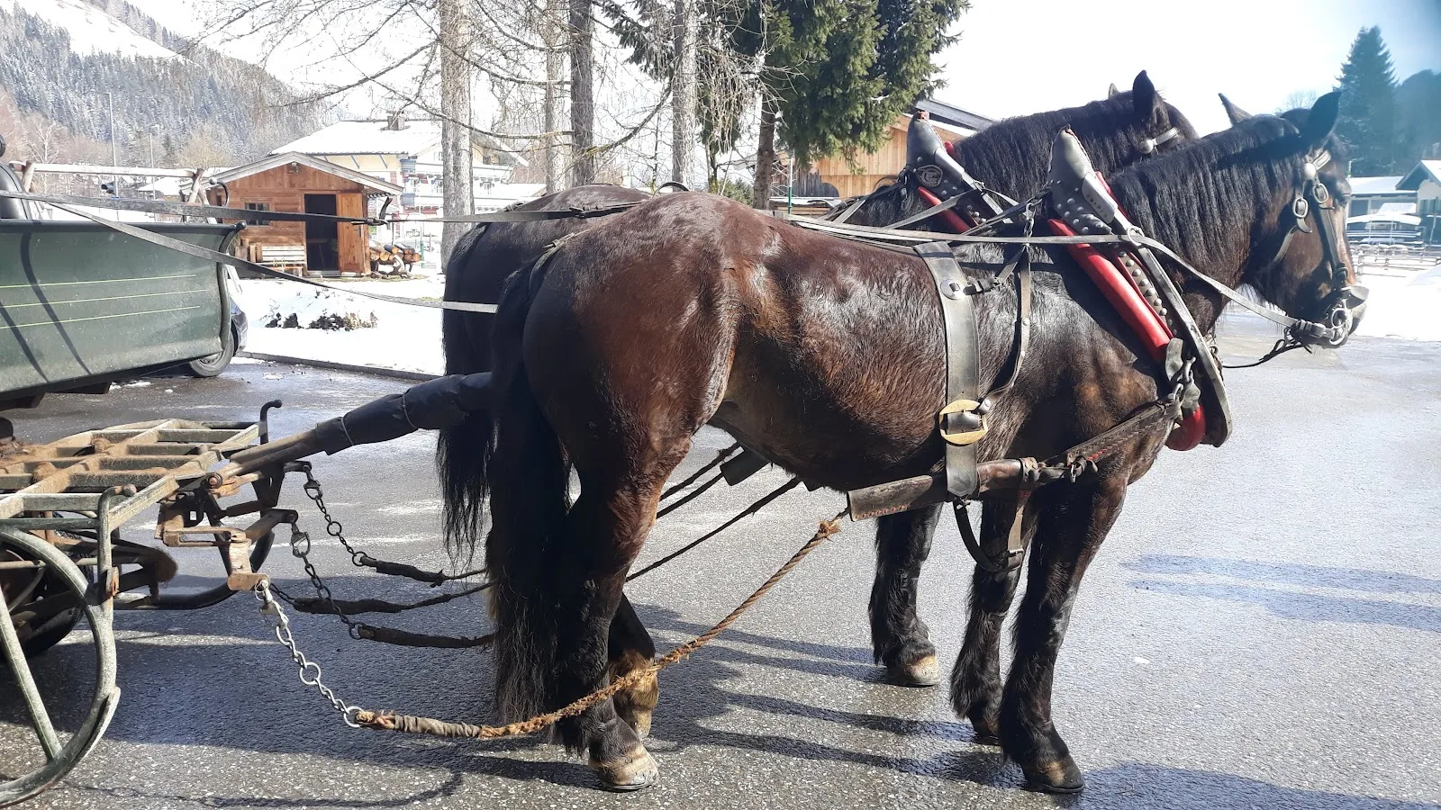 Salzburger Seniorenbund 50+ Seniorenhilfe / Clublokal Schallmoos