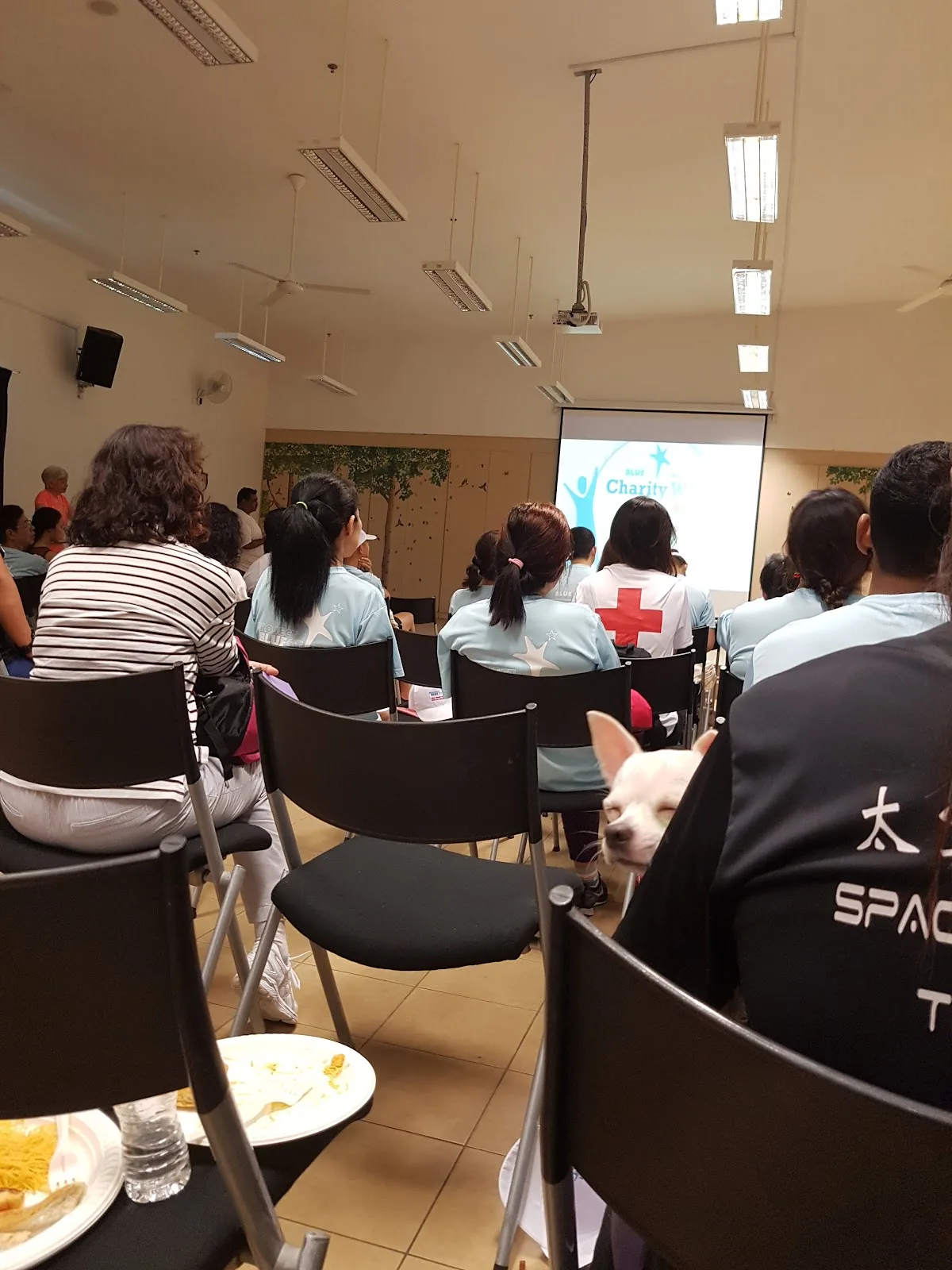 Red Cross Home
