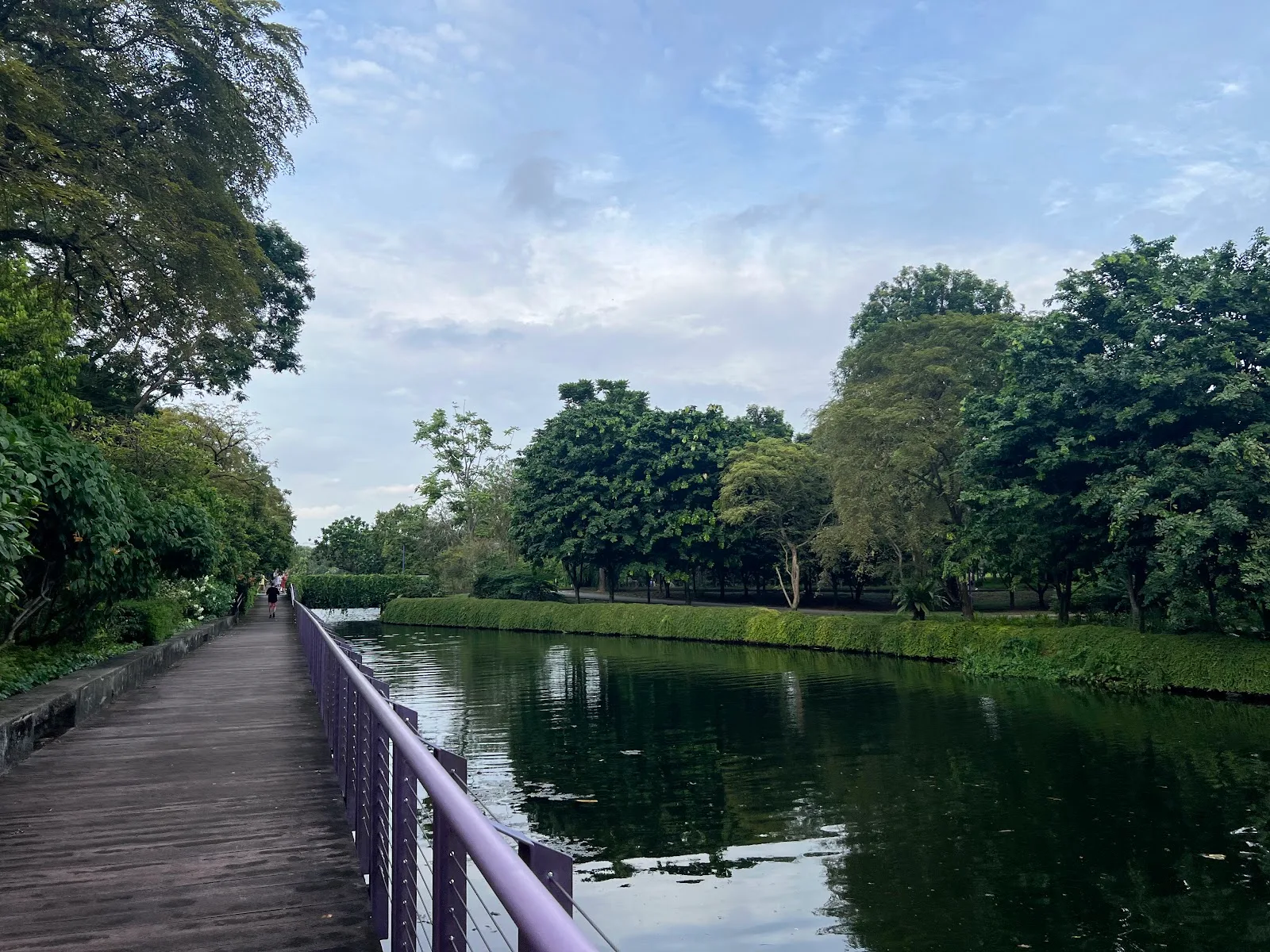 Serene Garden