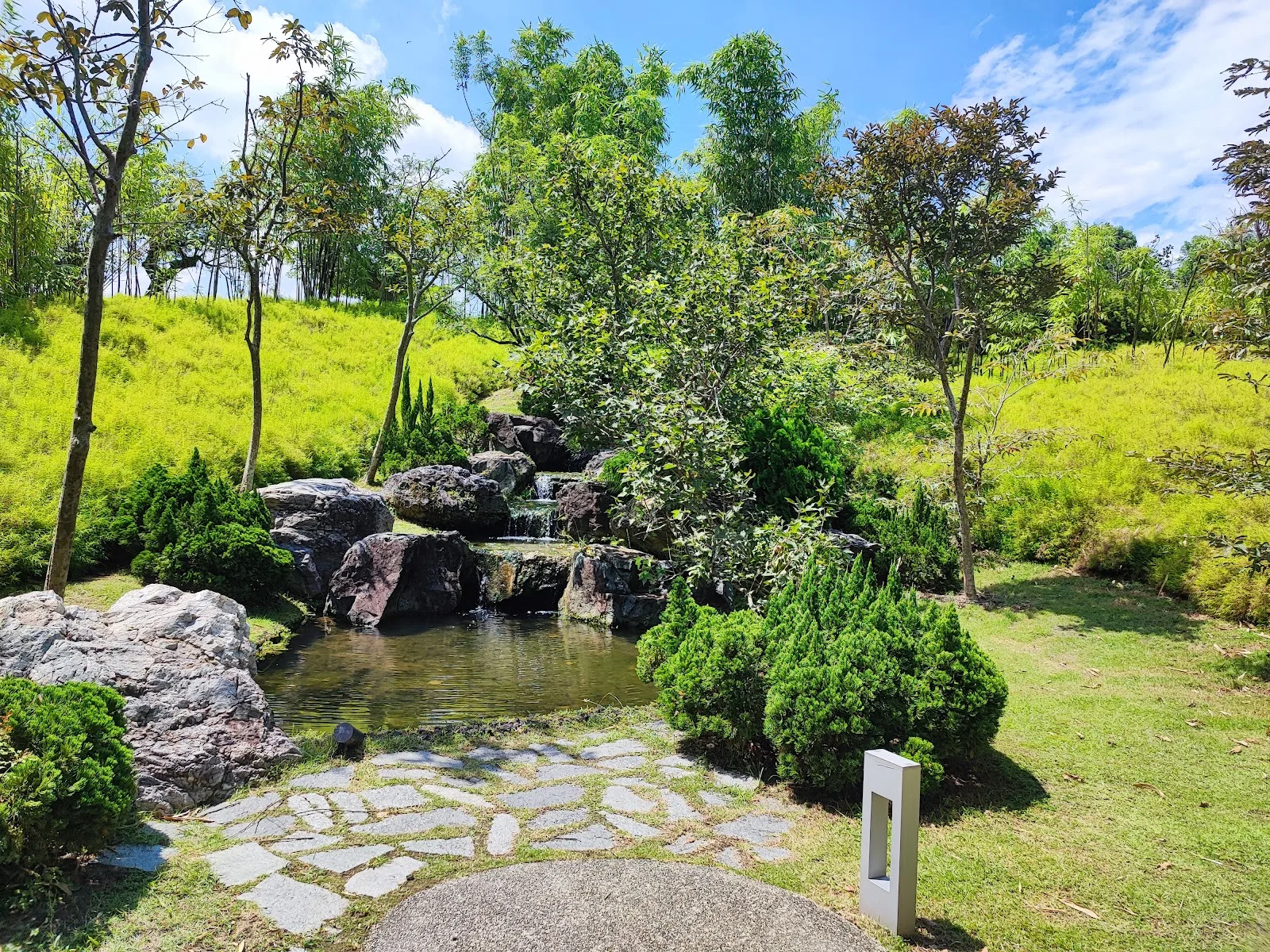 Serene Garden