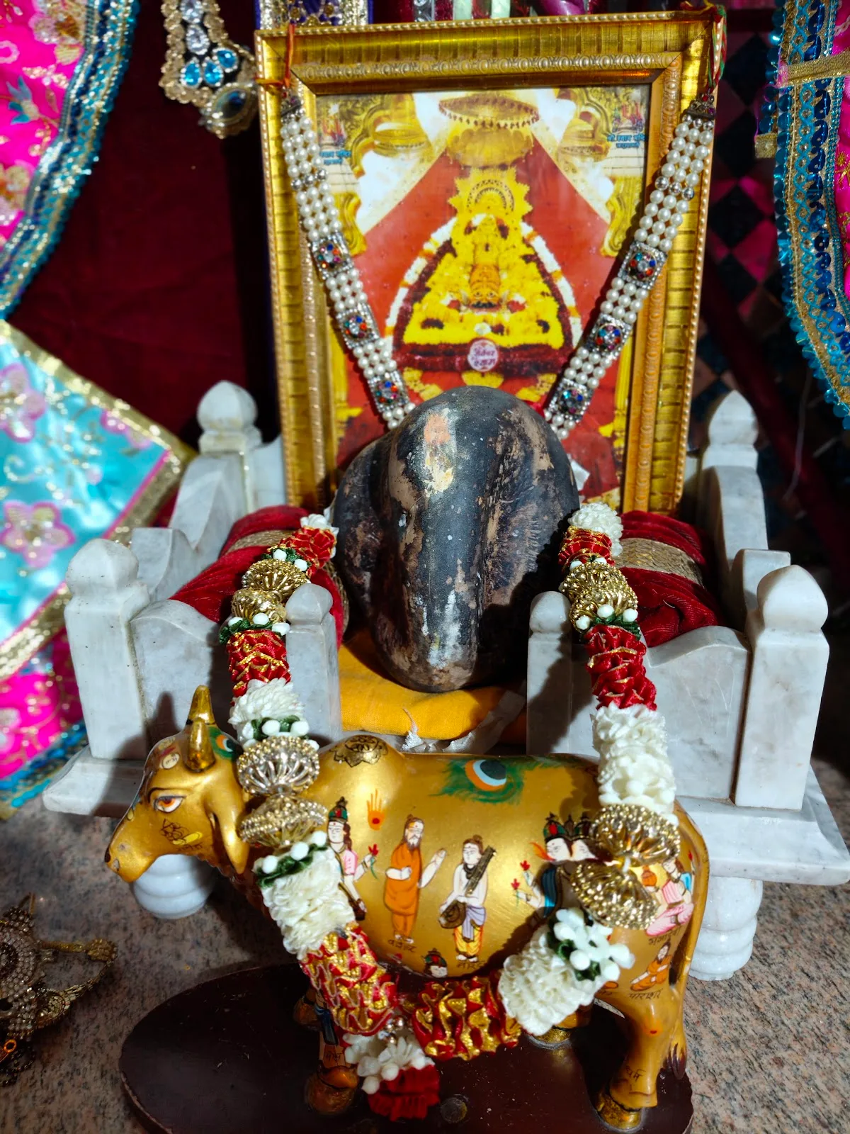 Kamdhenudham Gaushala