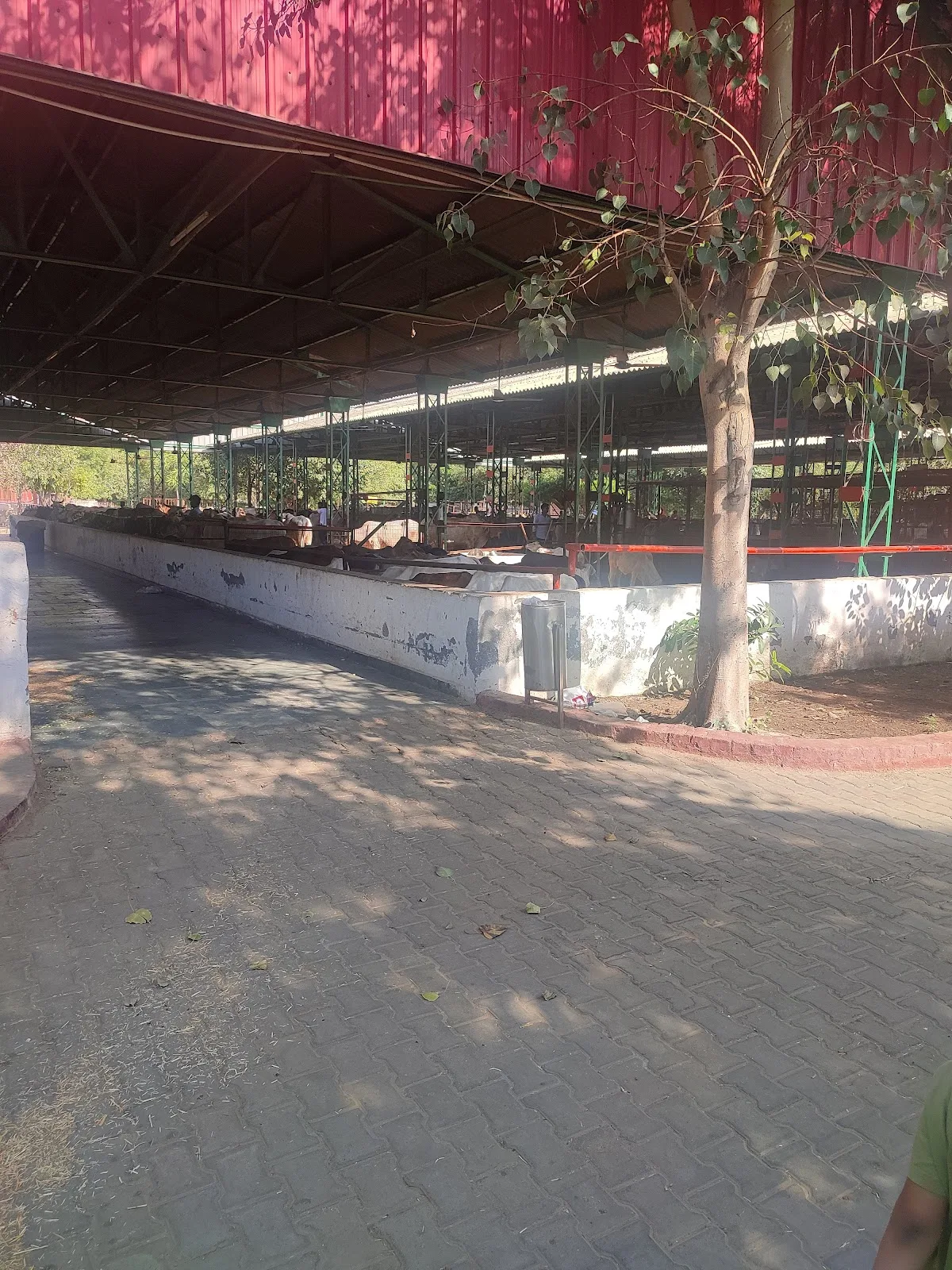 Kamdhenudham Gaushala