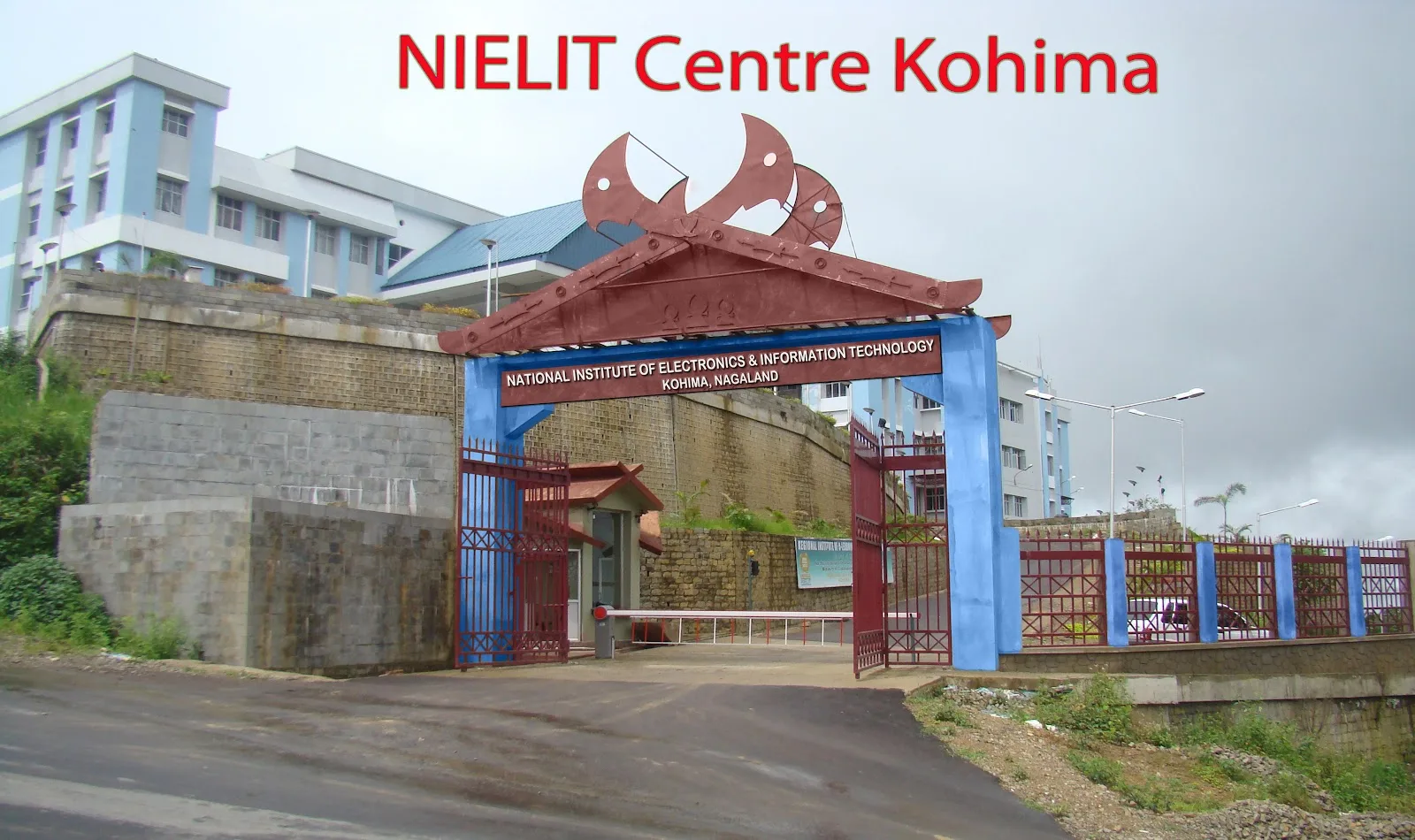 National Institute of Electronics & Information Technology