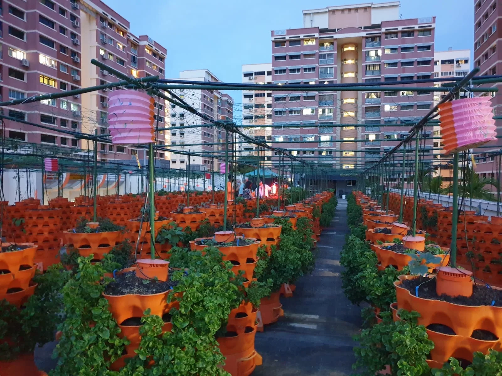 Nature's International Commodity Pte Ltd