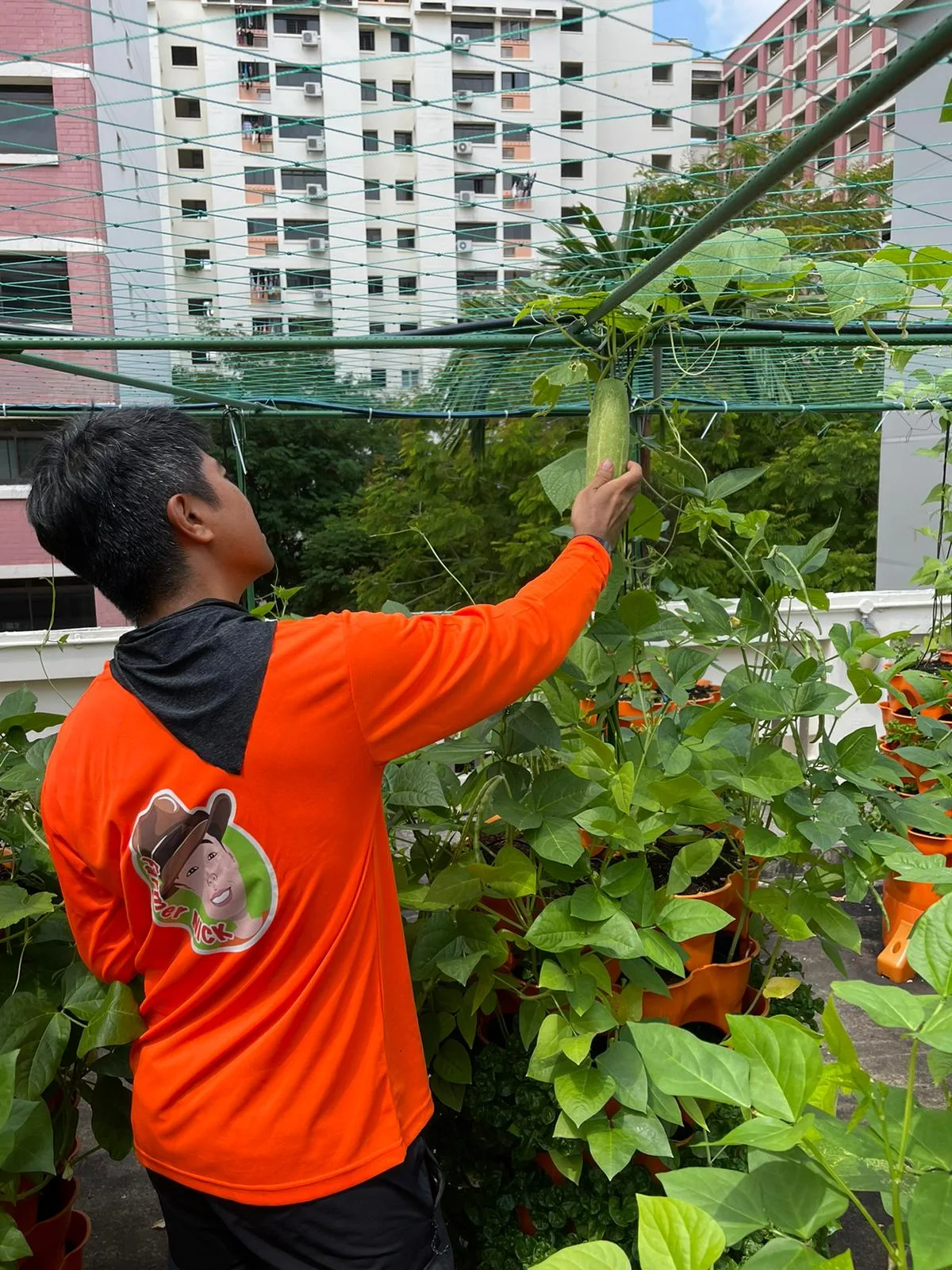 Nature's International Commodity Pte Ltd
