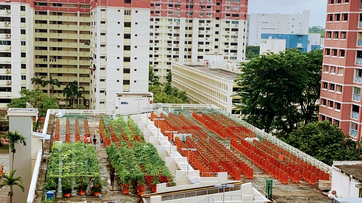 Nature's International Commodity Pte Ltd