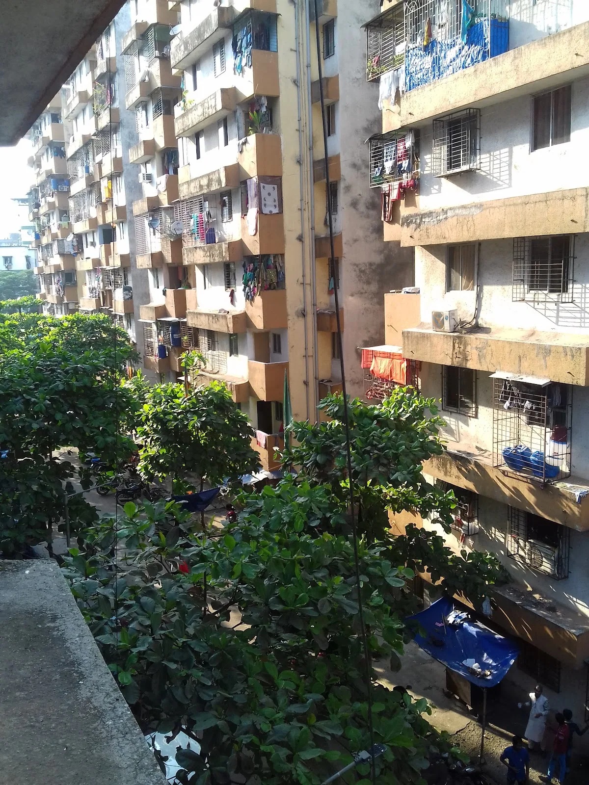 BSUP Cell, Kausa, Mumbra