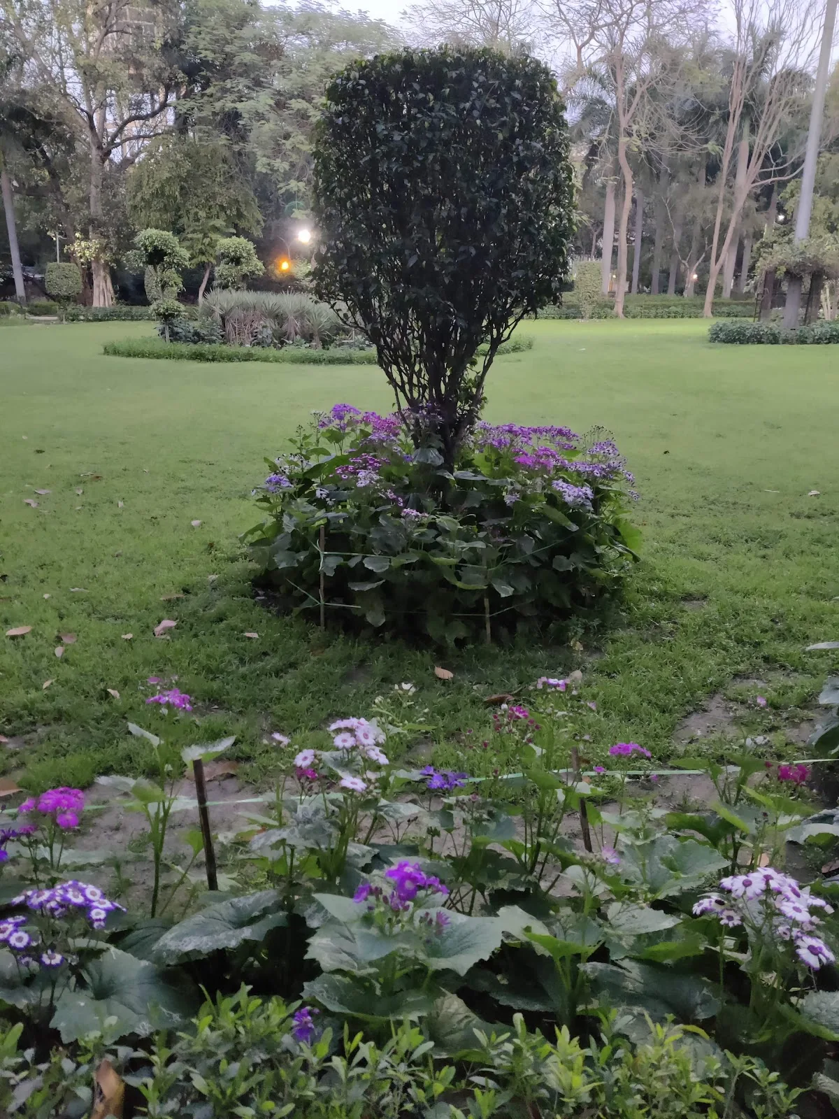 Maharani Bagh Community Center