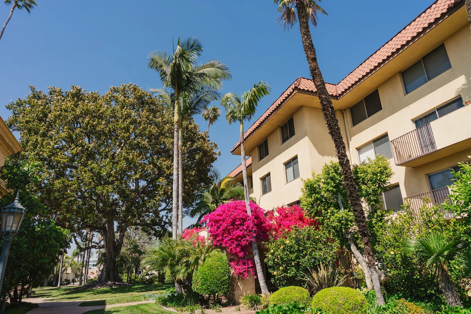 Hollenbeck Palms