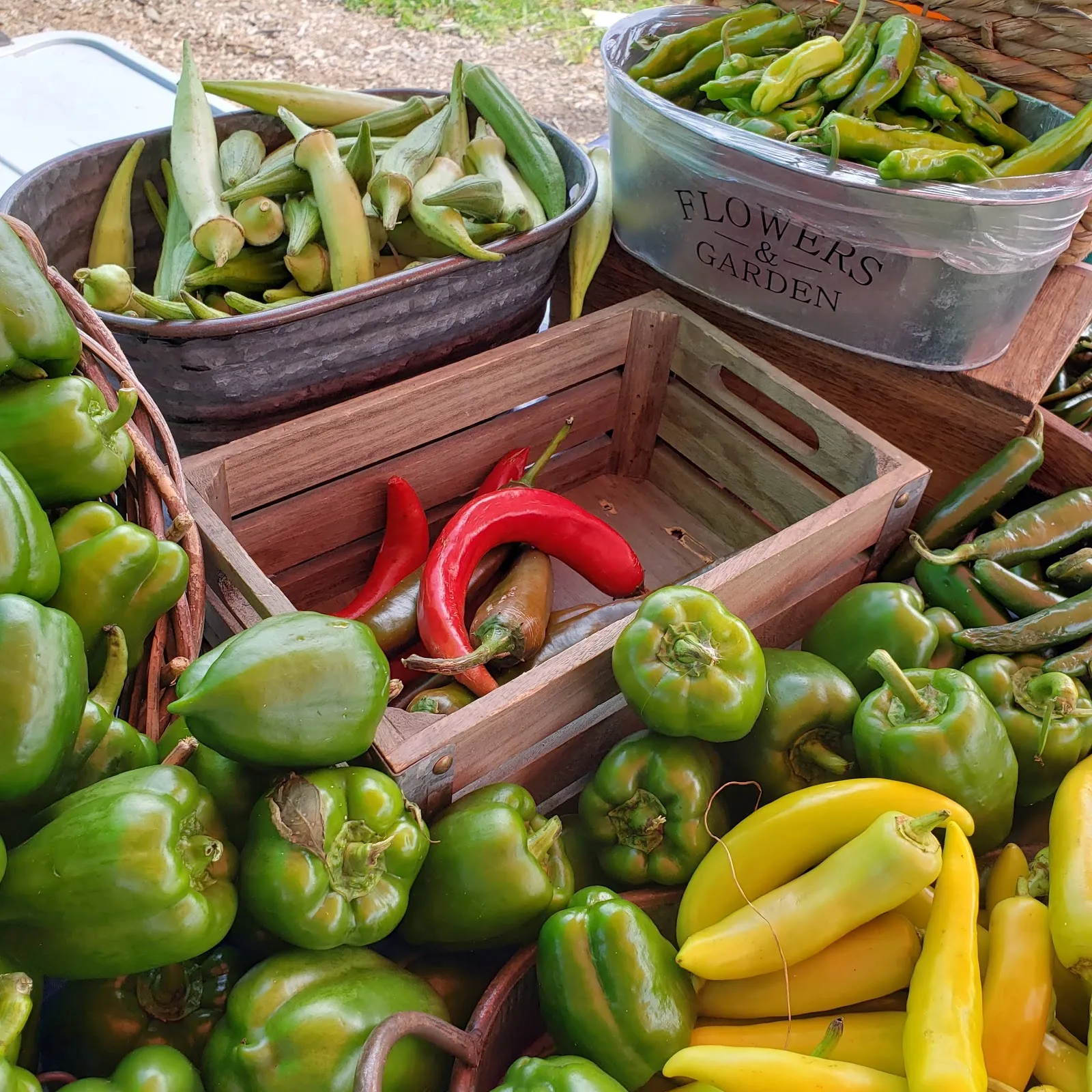 South Chicago Farm, Urban Growers Collective