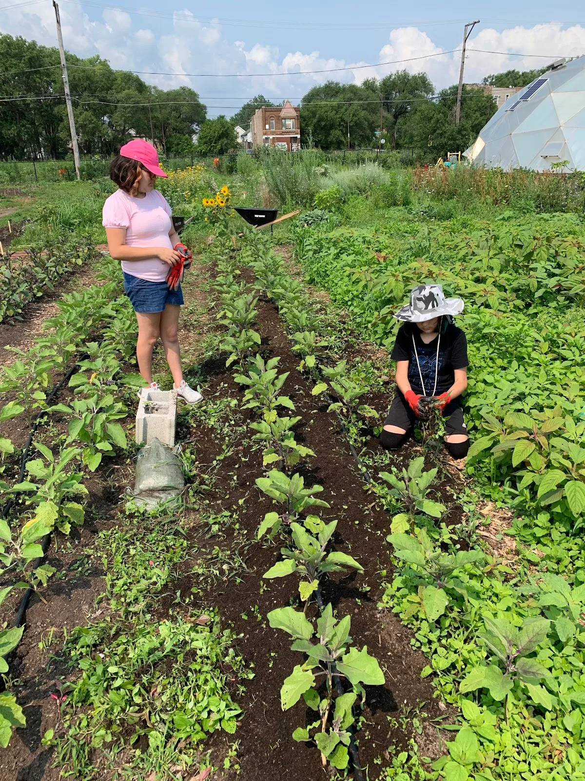 South Chicago Farm, Urban Growers Collective