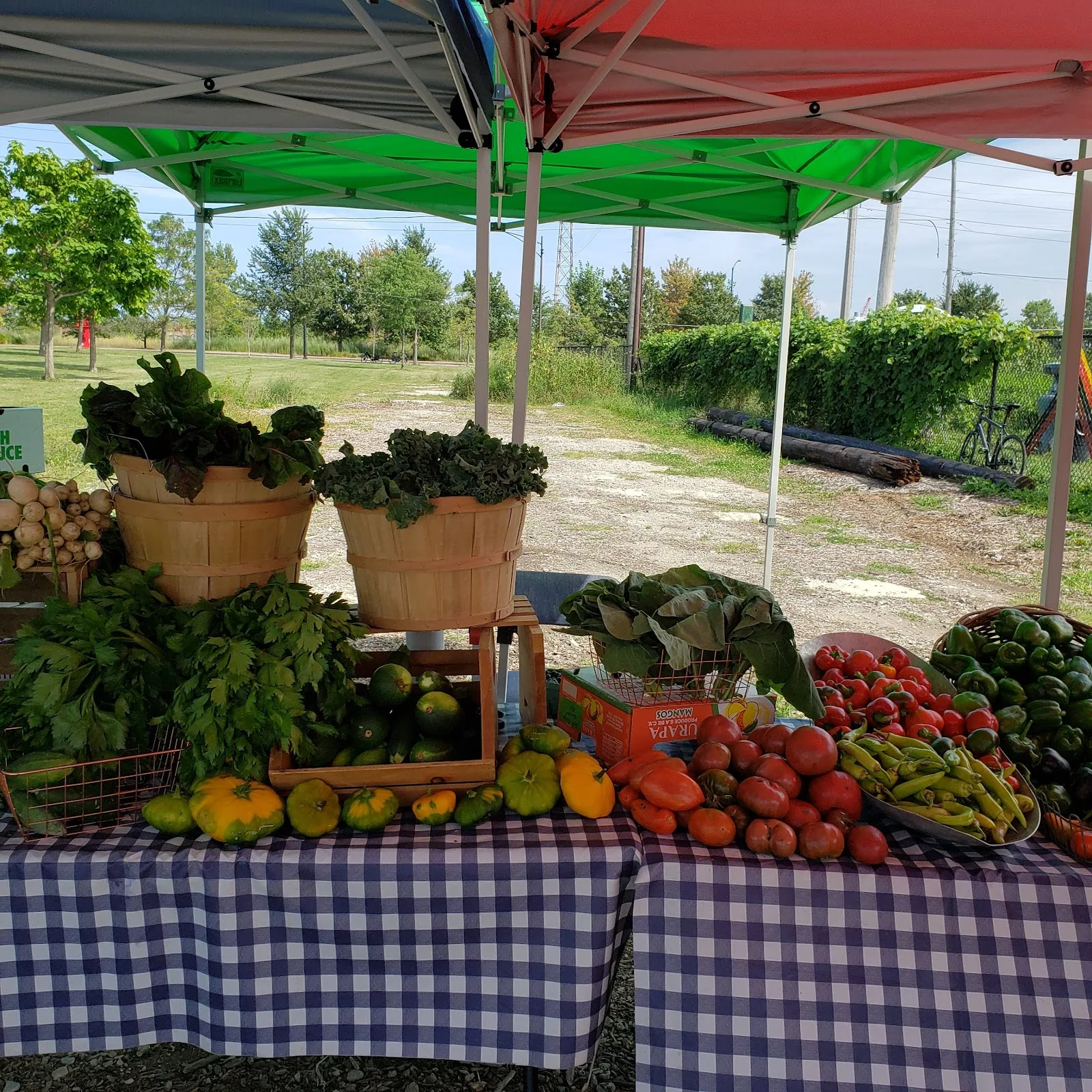 South Chicago Farm, Urban Growers Collective