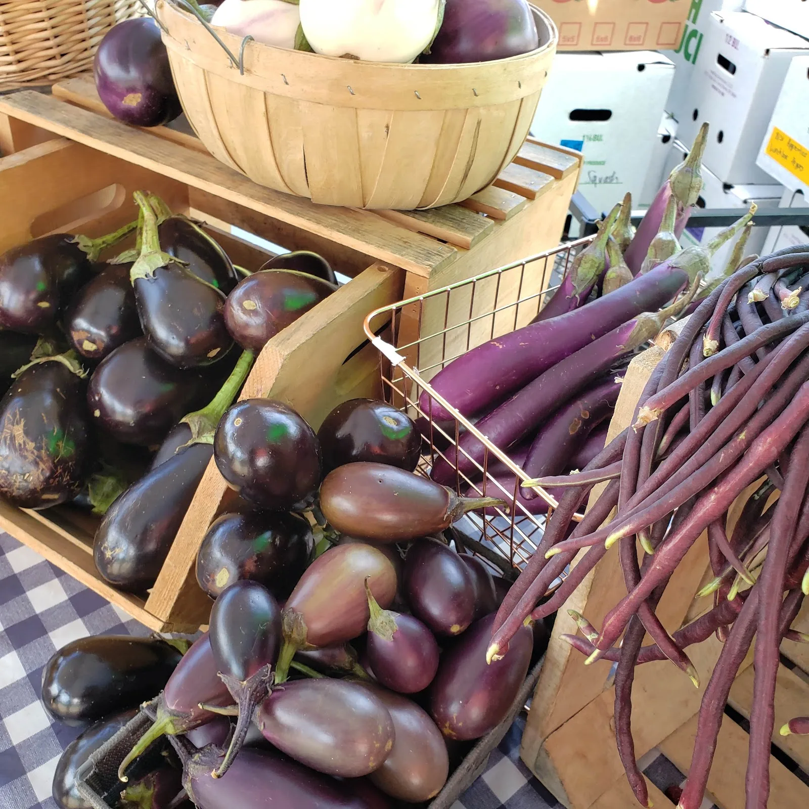 South Chicago Farm, Urban Growers Collective