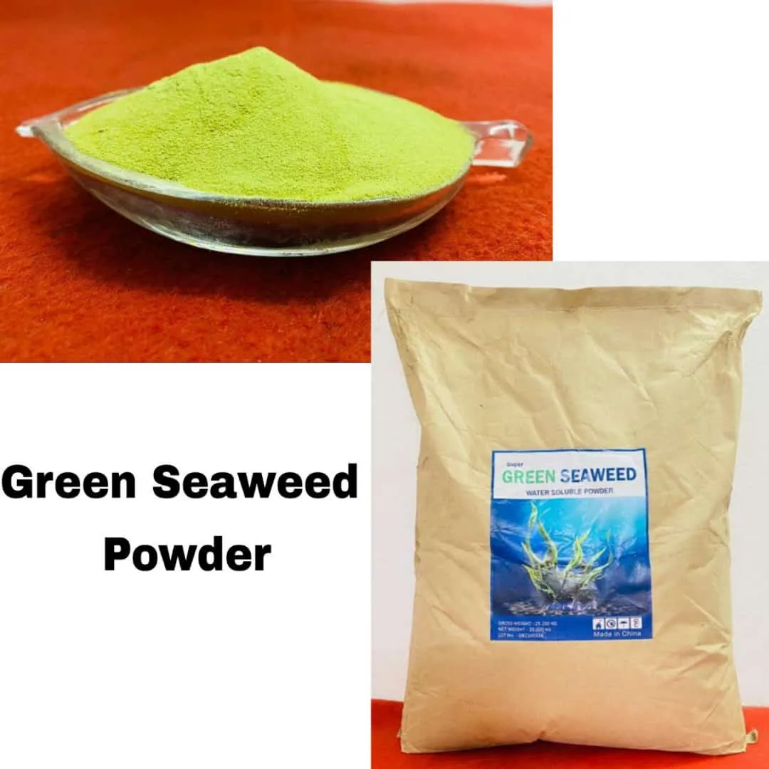 Greenfield Agrotech Pvt Ltd Mumbai