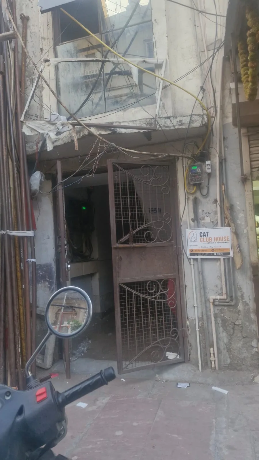 Catclub House