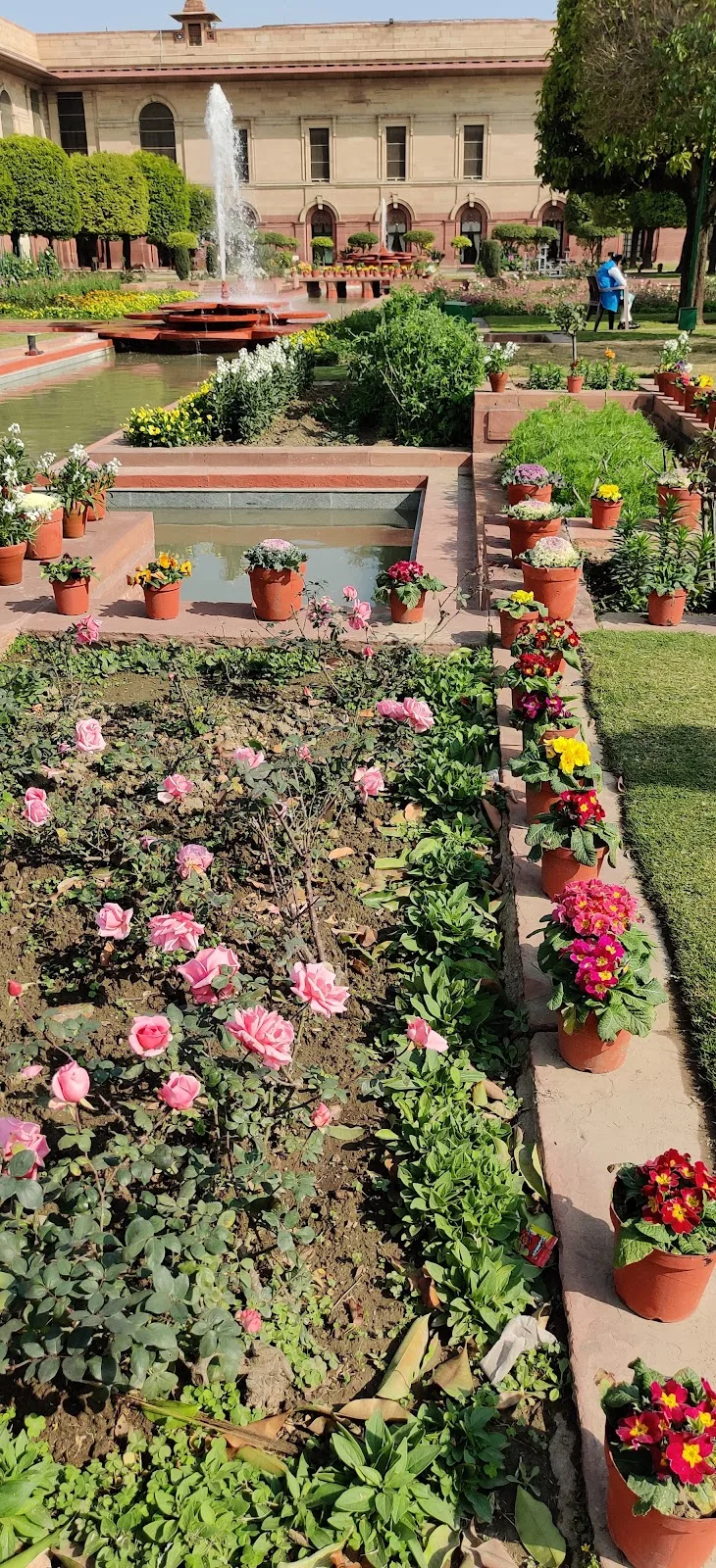 Rashtrapati Bhavan Udyaan