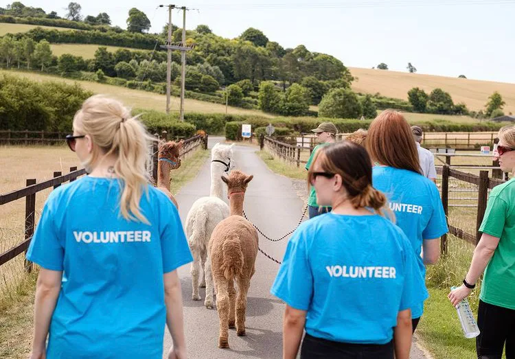 National Animal Welfare Trust Berkshire