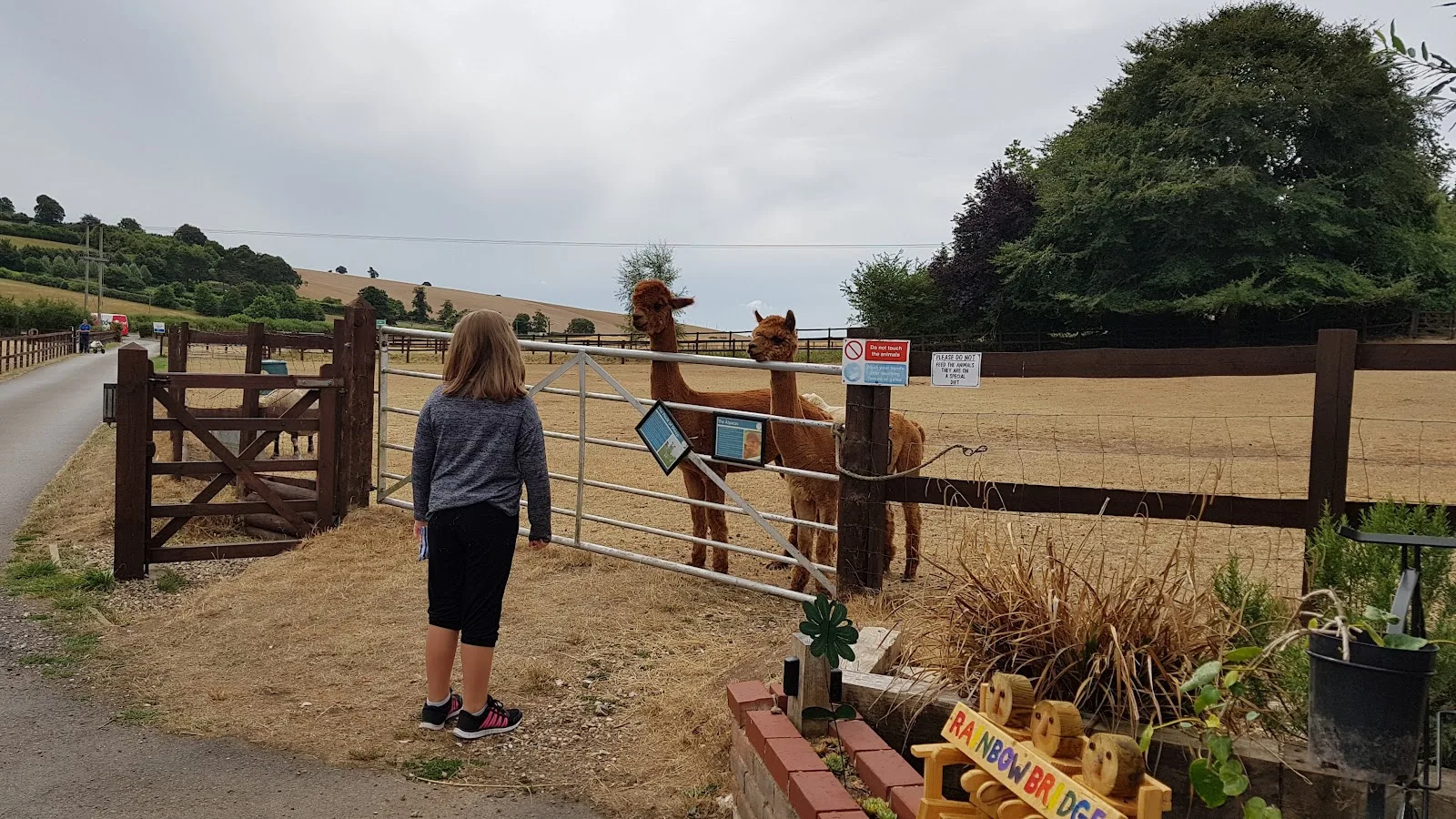 National Animal Welfare Trust Berkshire