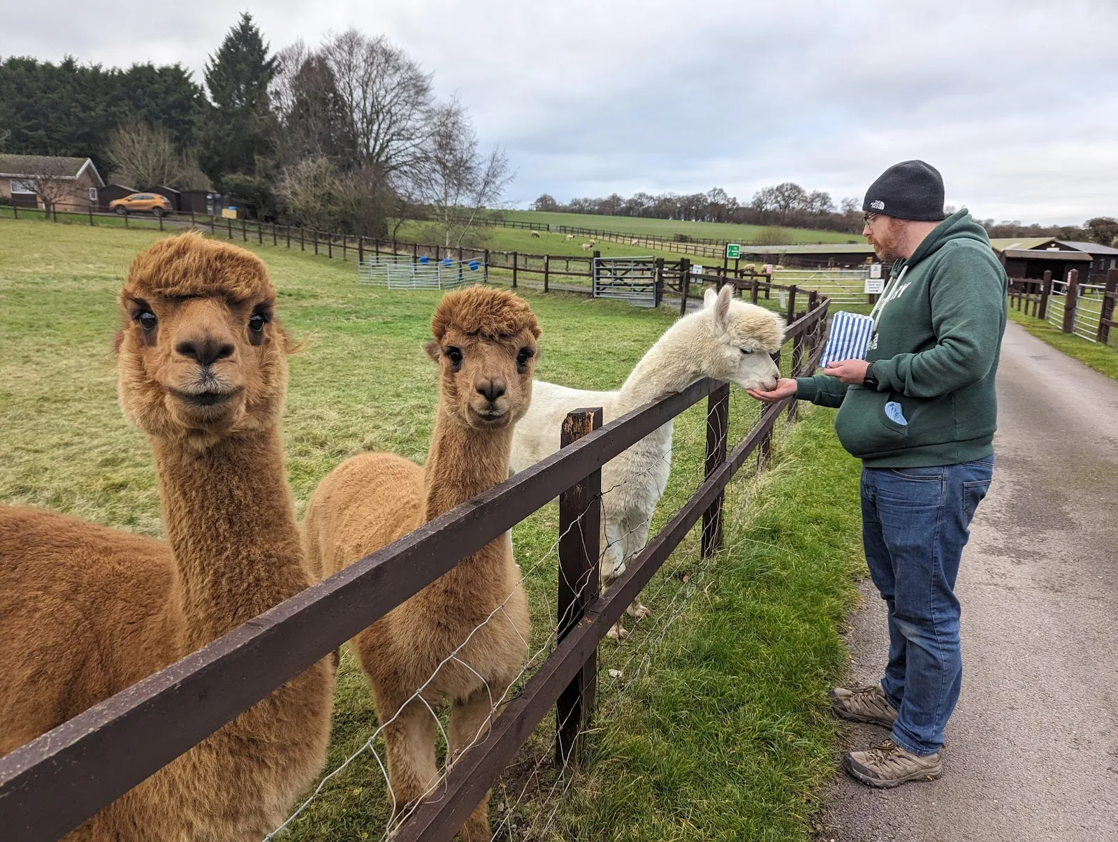 National Animal Welfare Trust Berkshire
