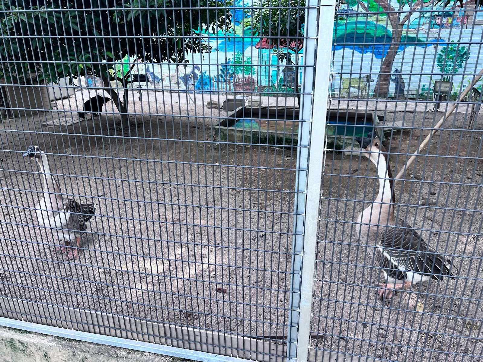 AMK Ind Park 2 Association Community Farm