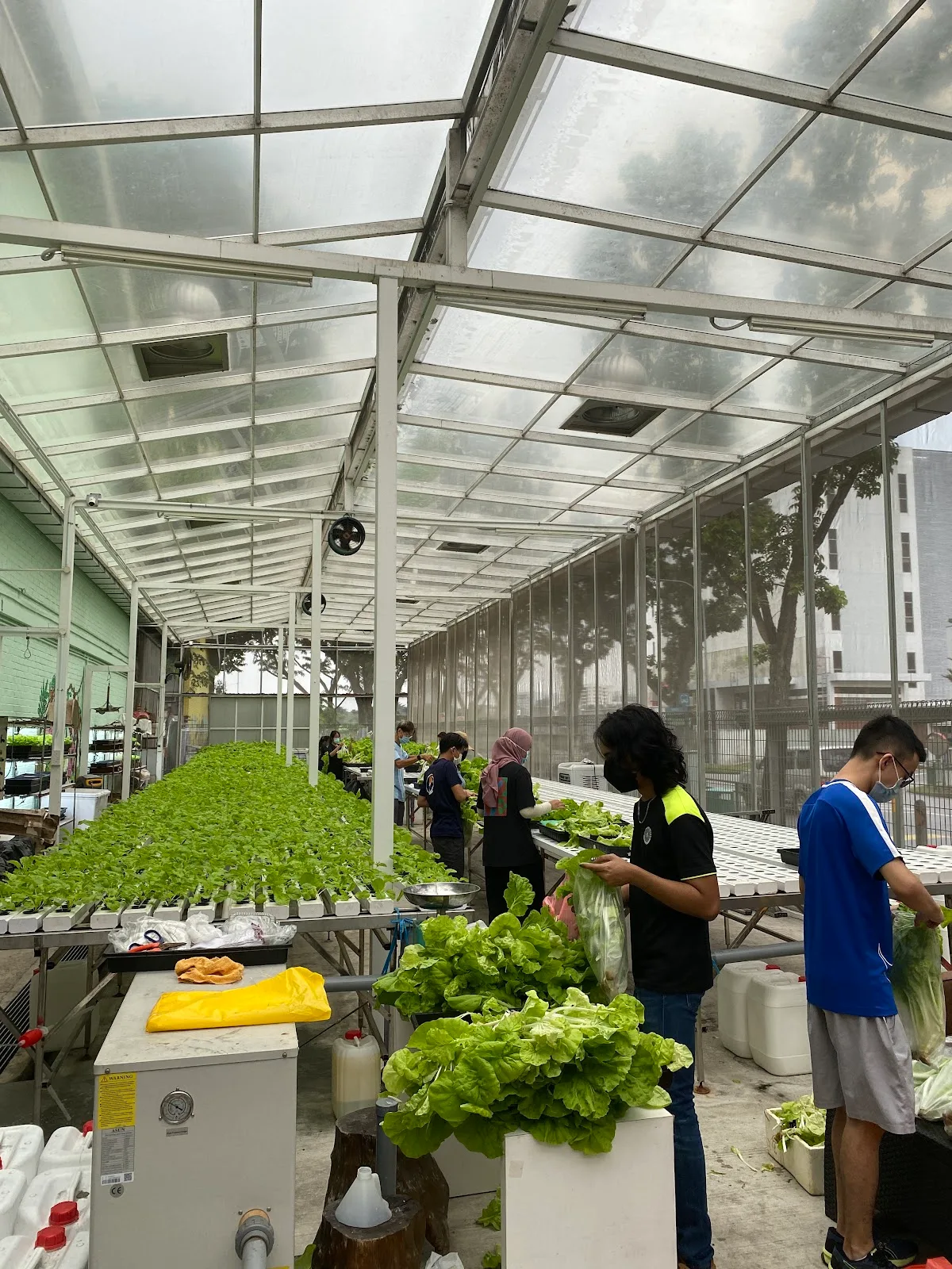 AMK Ind Park 2 Association Community Farm