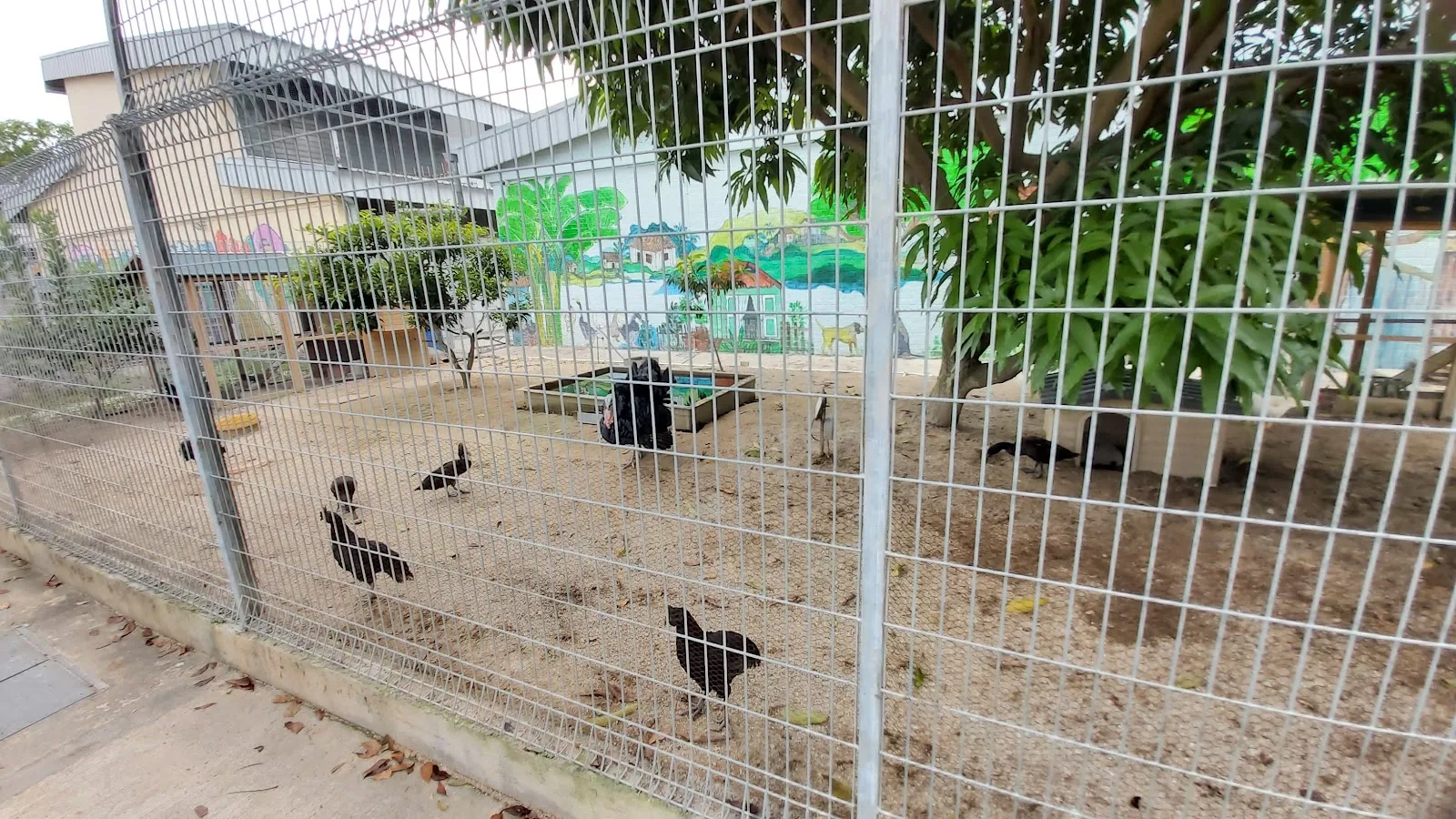 AMK Ind Park 2 Association Community Farm