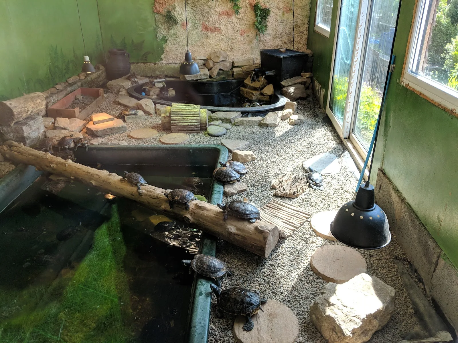 Proteus Reptile Trust