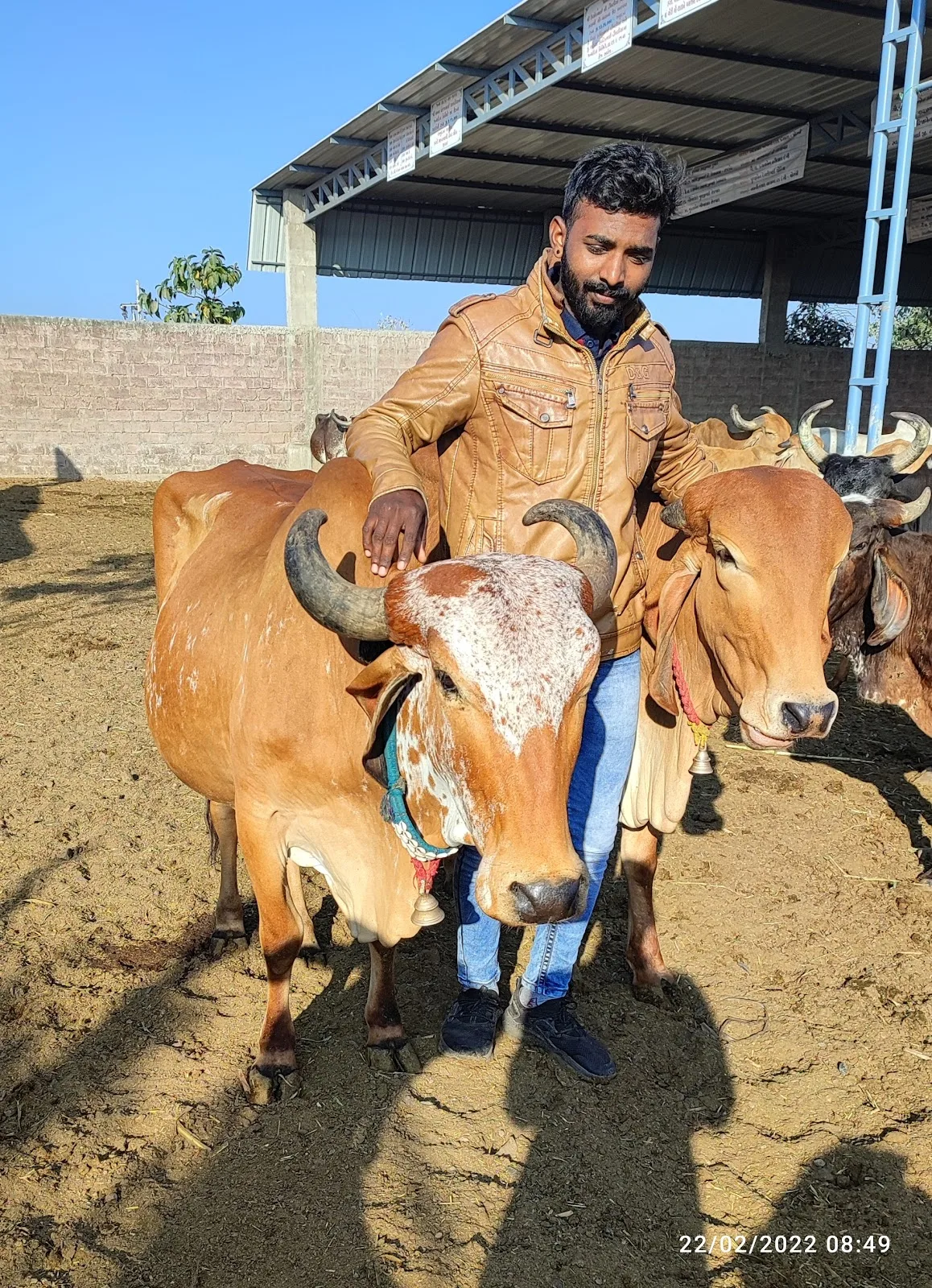 Maa Gauri Gaushala Trust