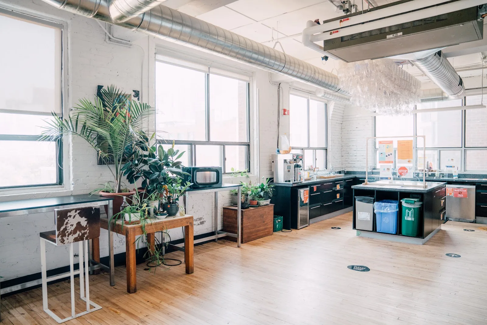 Centre for Social Innovation (CSI)