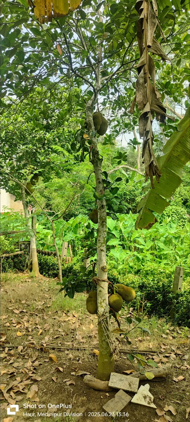 Raut's Bhawan