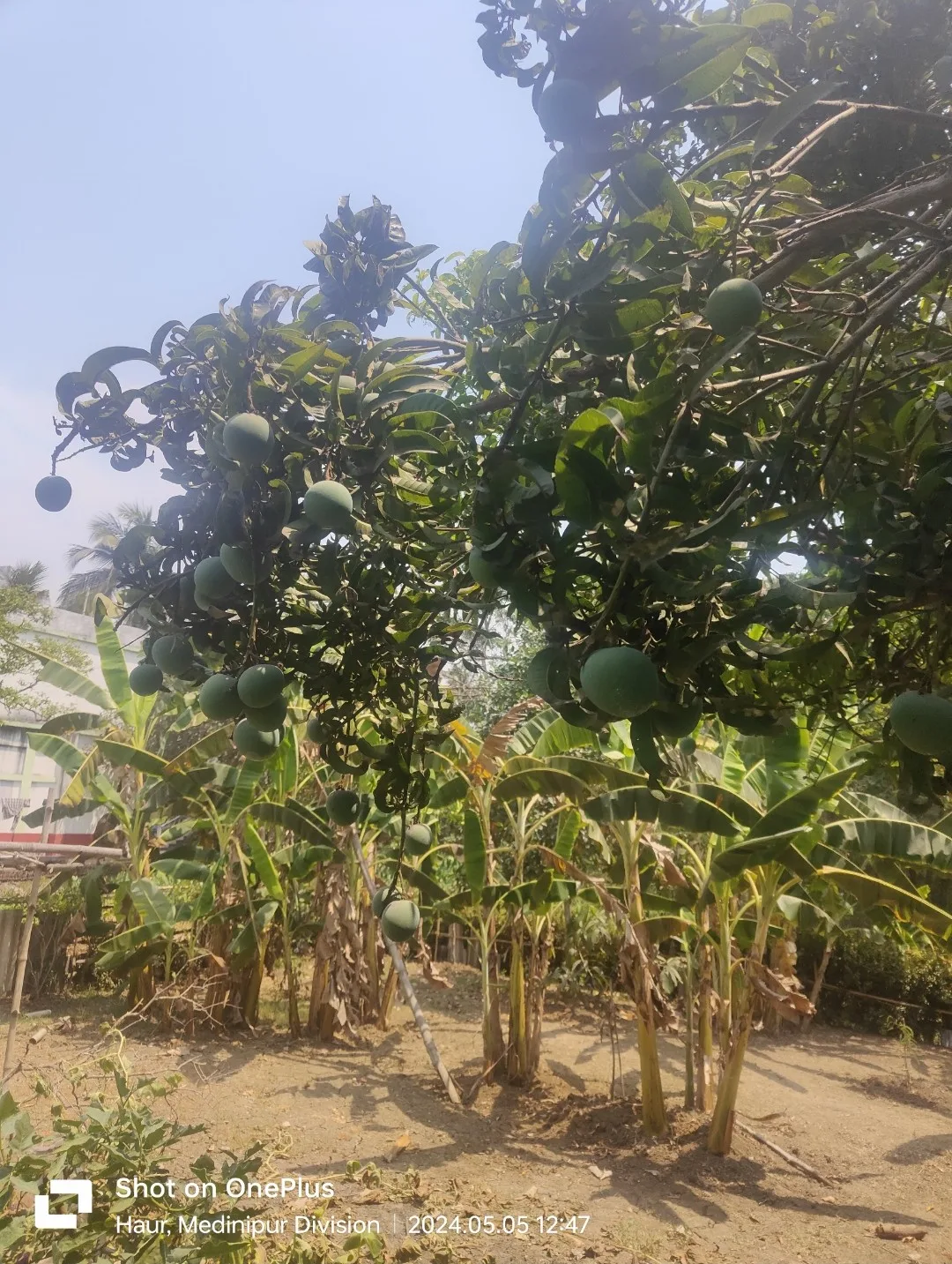 Raut's Bhawan