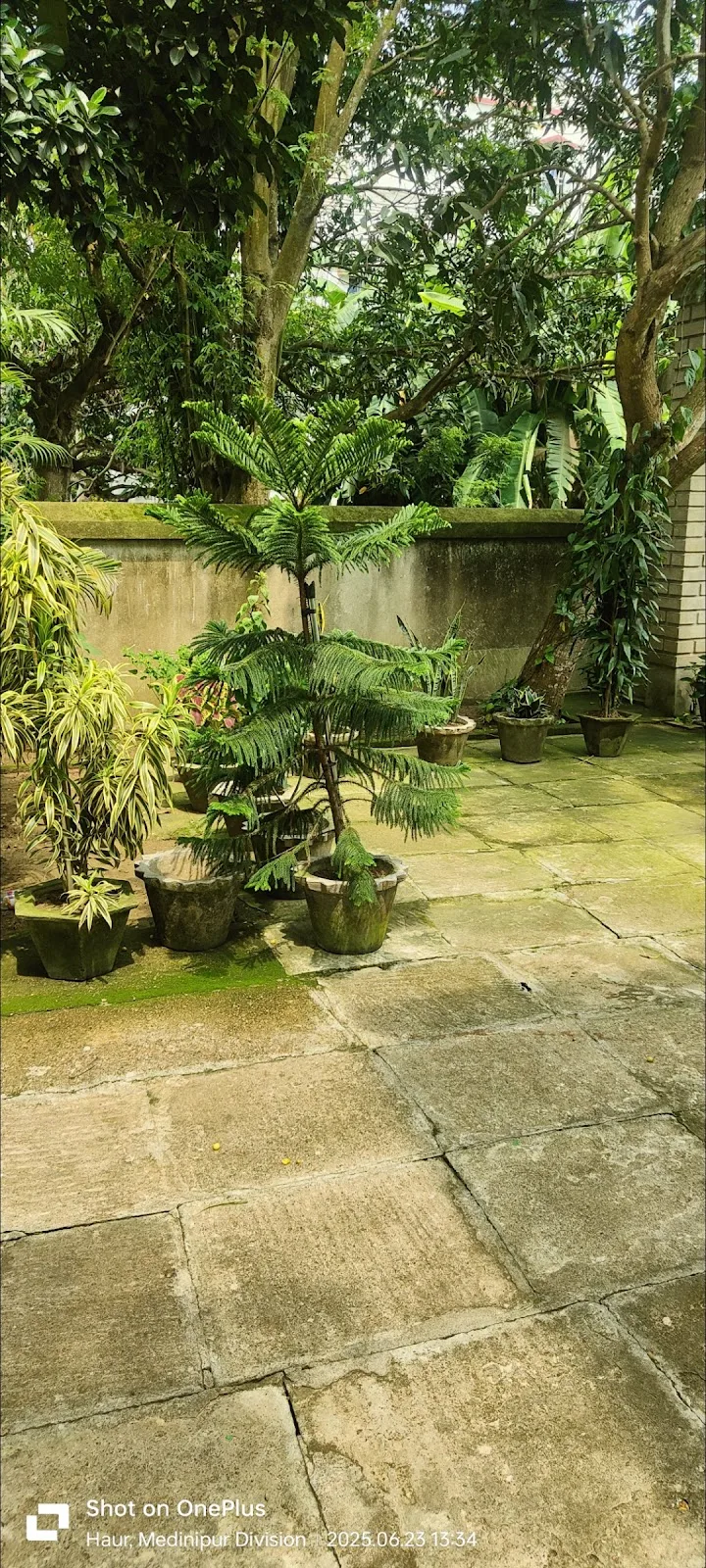Raut's Bhawan