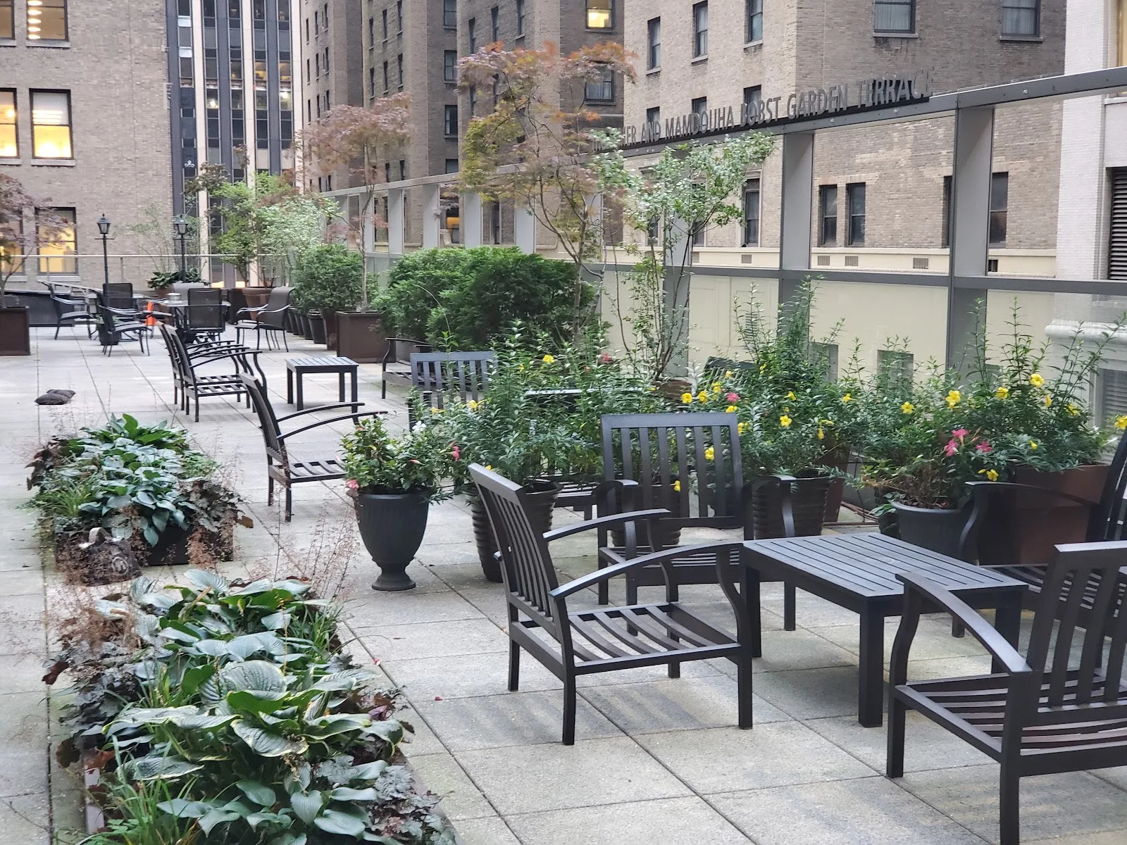 American Cancer Society - Hope Lodge - New York
