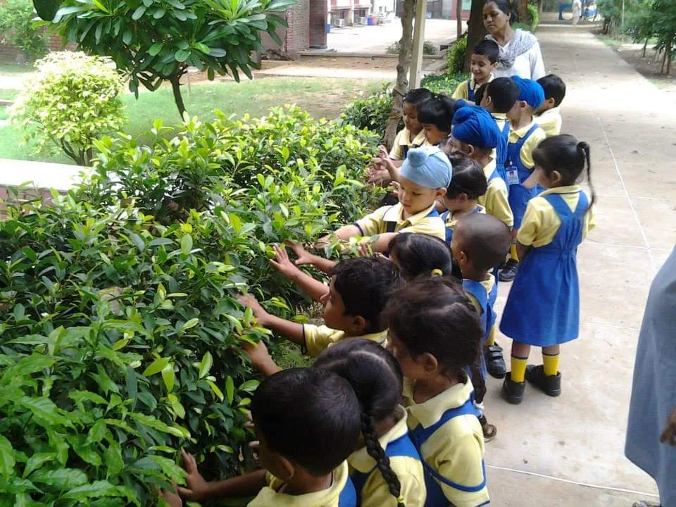 Banyan Tree School Delhi