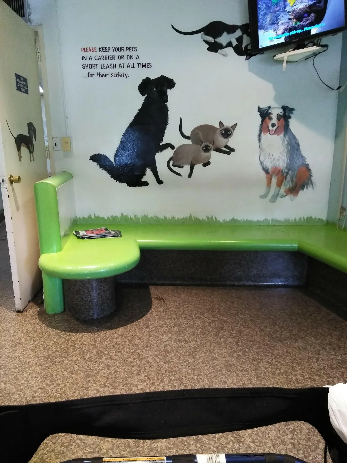 The Humane Society of New York