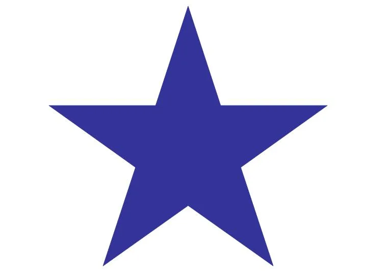 Social Services of America Inc.