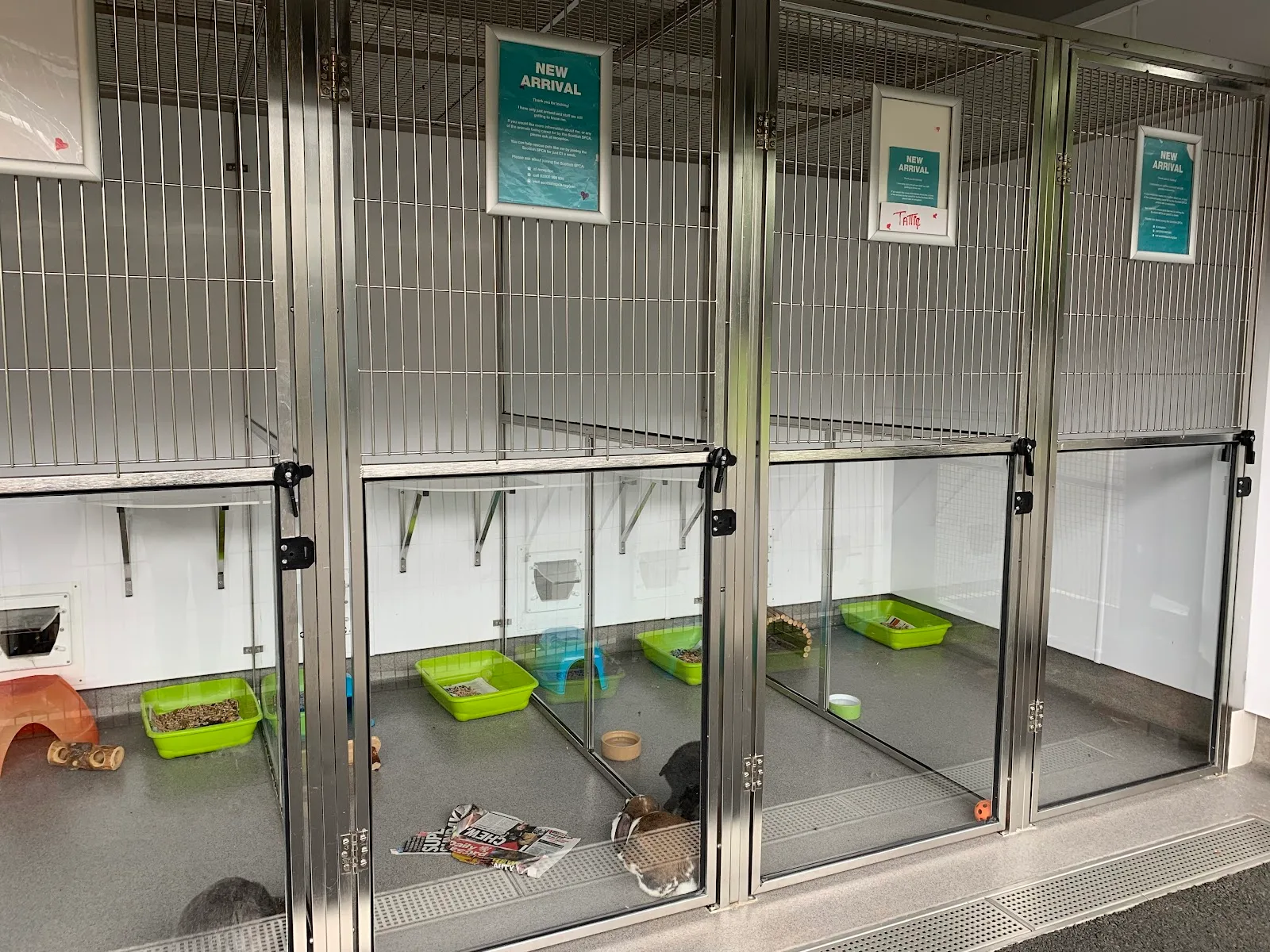 Scottish SPCA Animal Rescue and Rehoming Centre