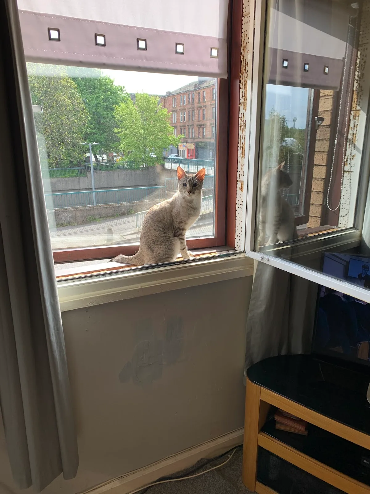 Scottish SPCA Animal Rescue and Rehoming Centre