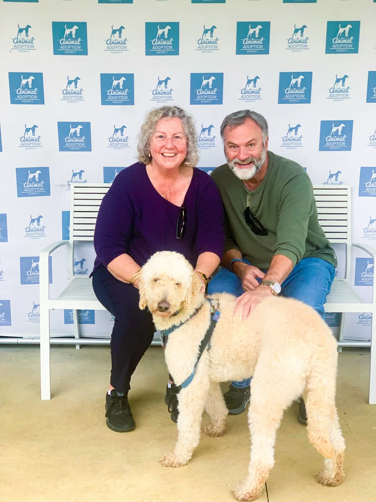 Animal Adoption Agency