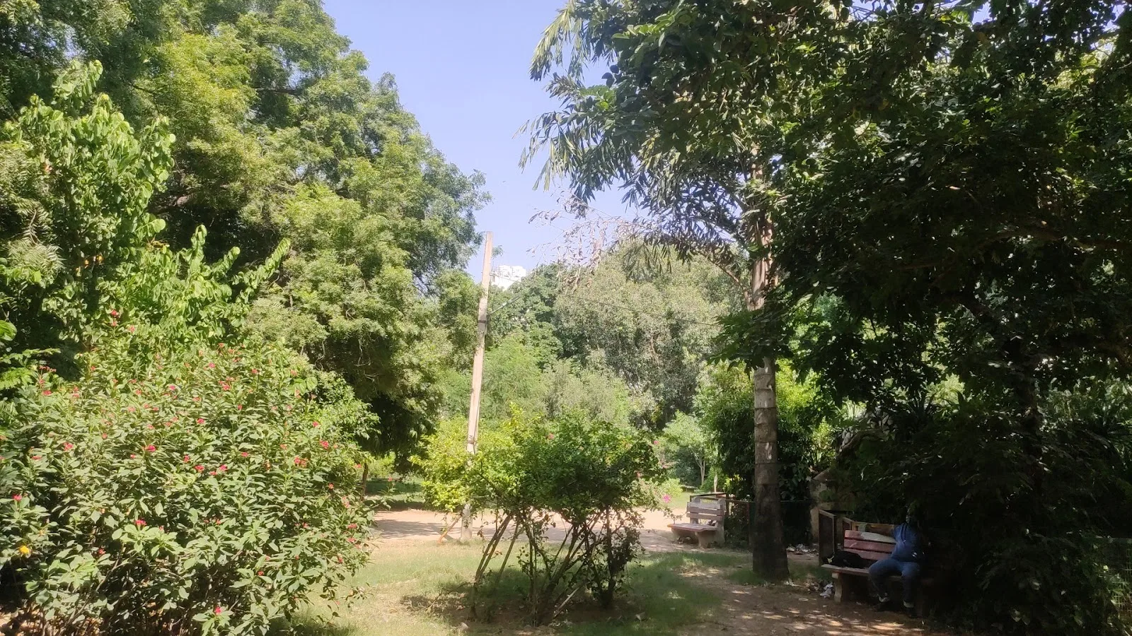 Tamana Nai Disha