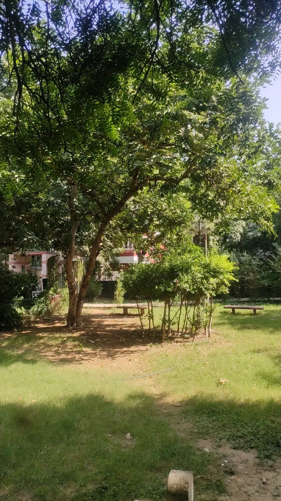 Tamana Nai Disha