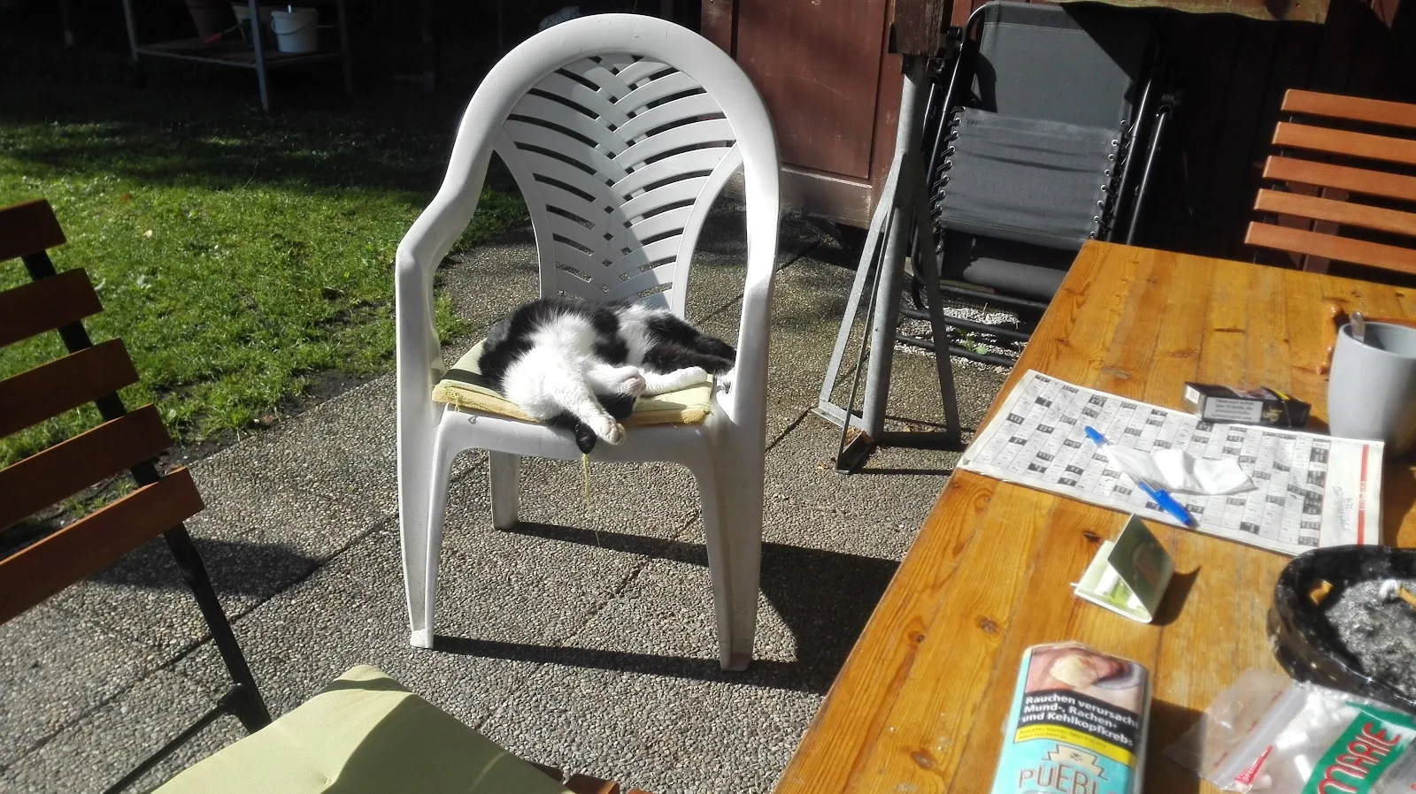 Österreichische Tierrettung