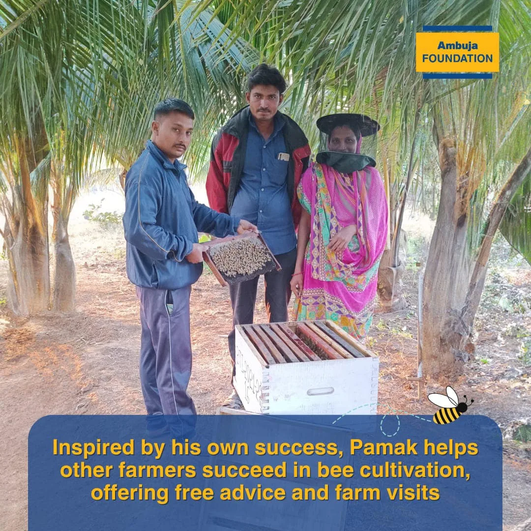Ambuja Foundation - CSR Implementation NGO