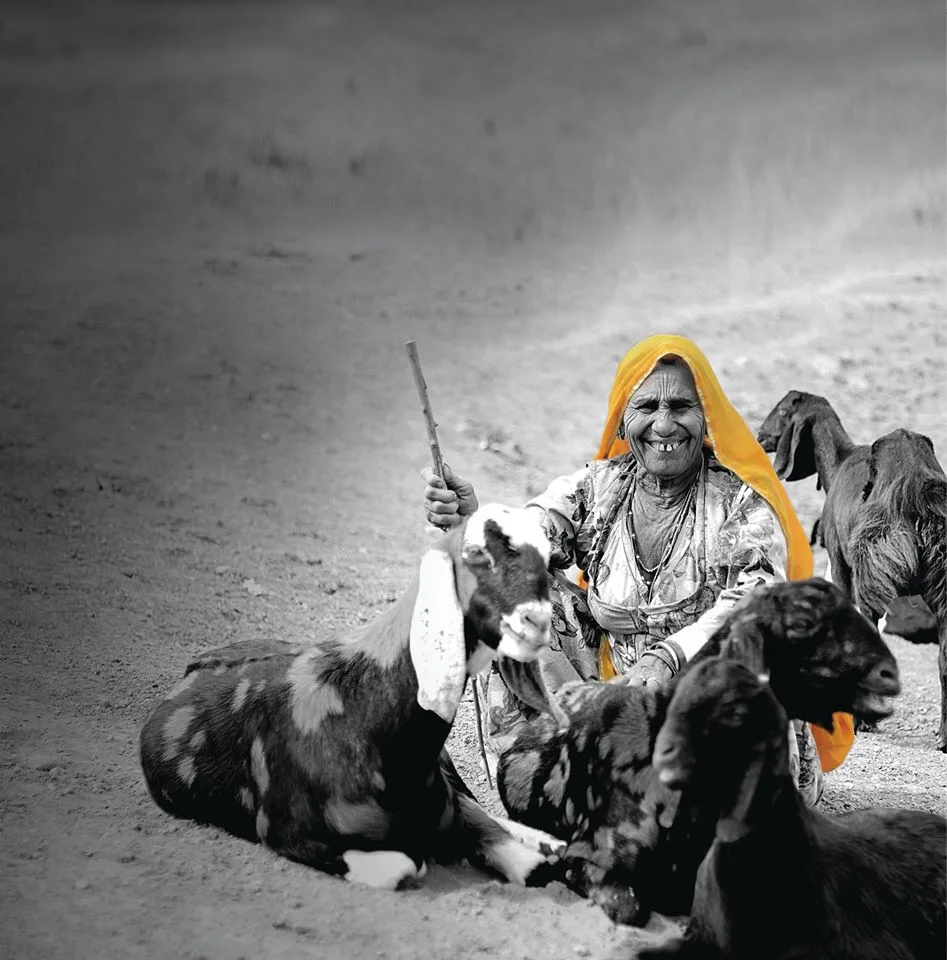 Ambuja Foundation - CSR Implementation NGO