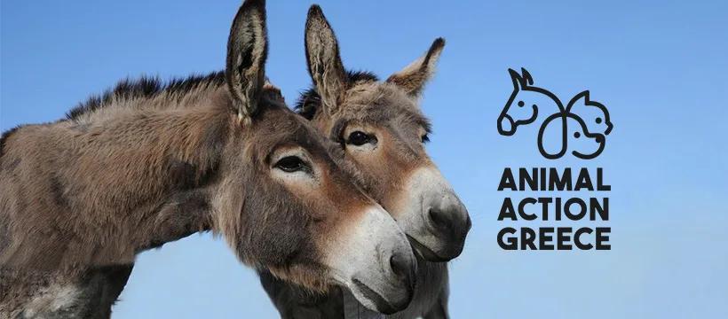 Animal Action Greece