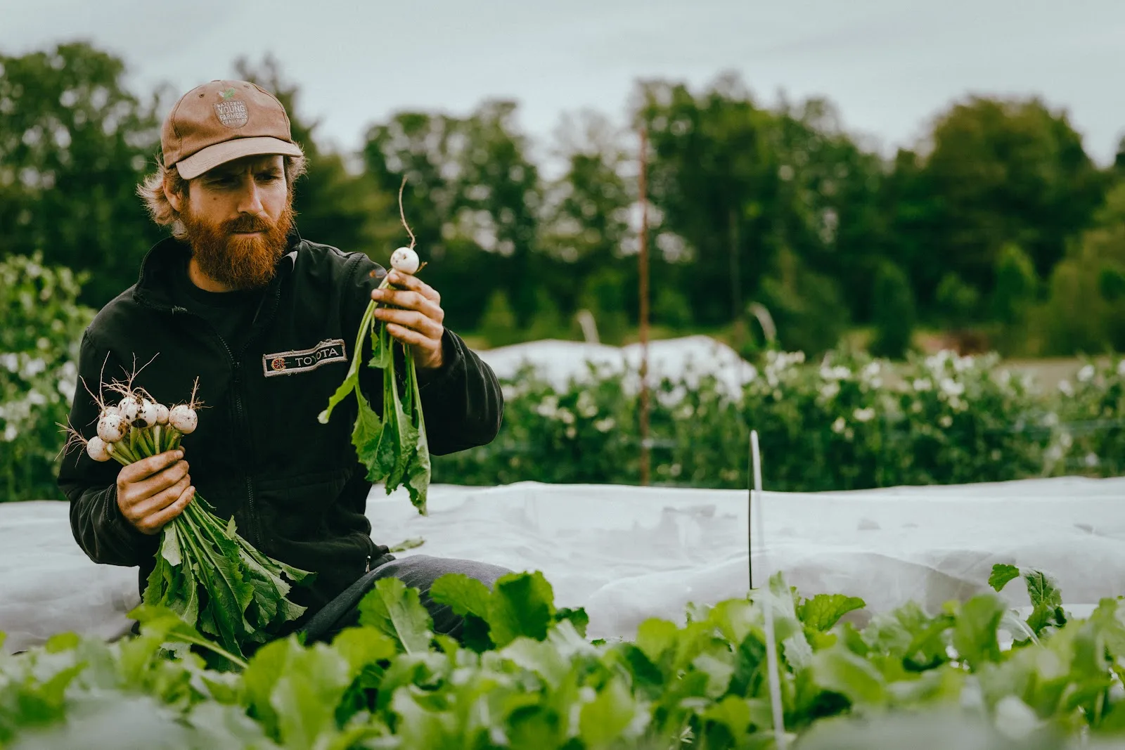 Réseau des fermiers·ères de famille / Family farmers Network